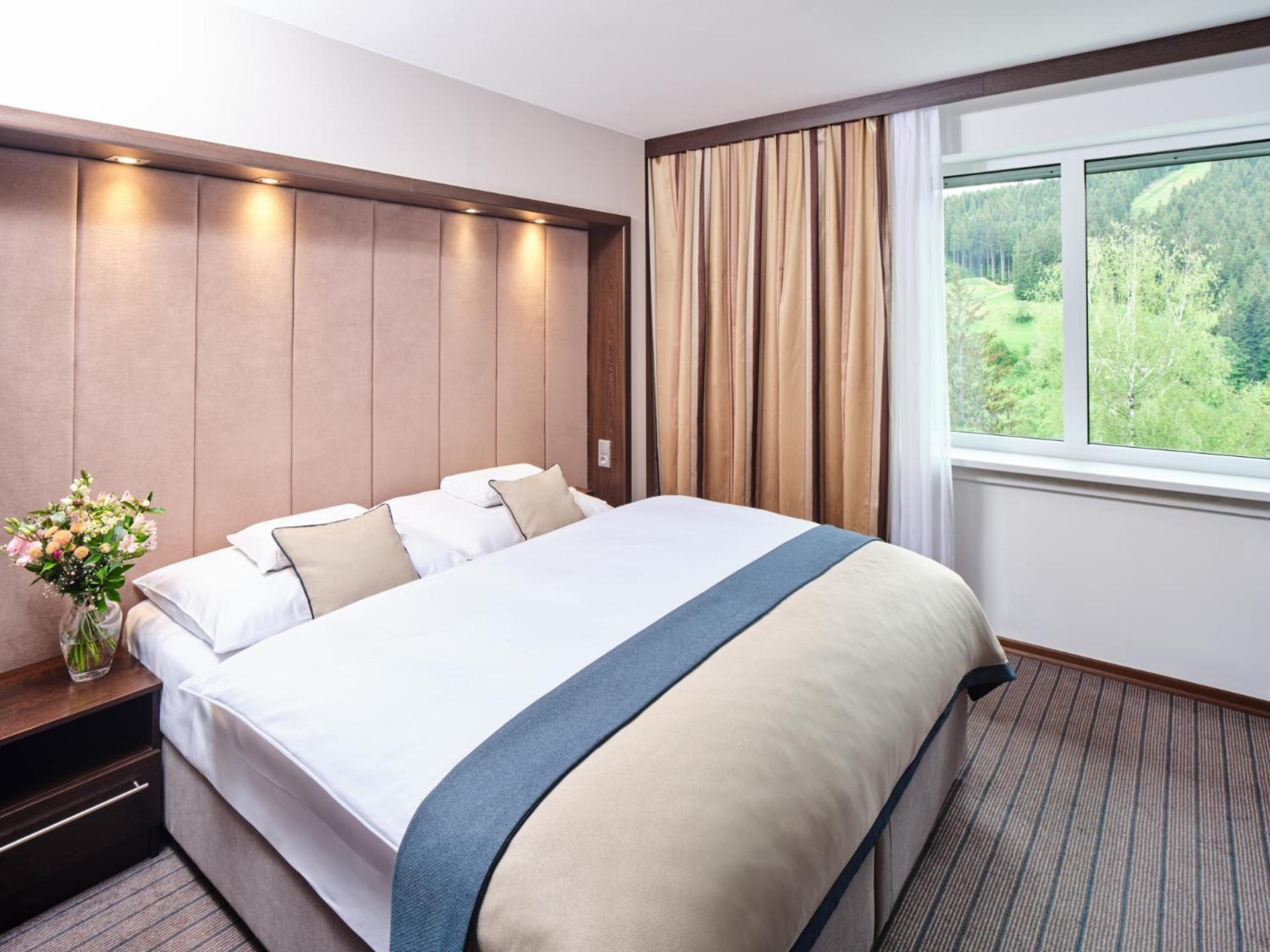 Double or Twin Room with Spa Access