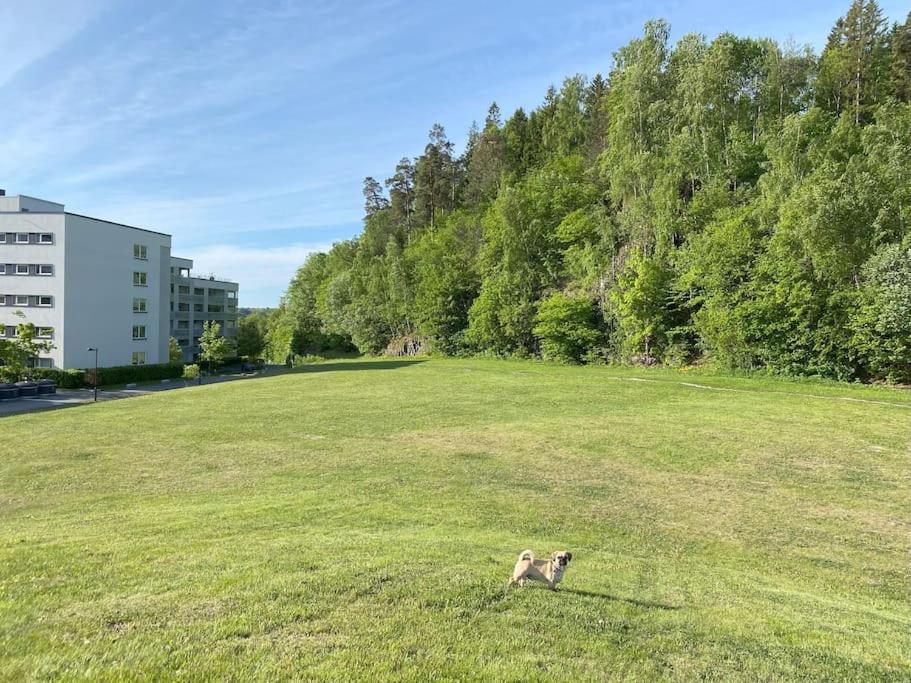 Spacious 3 Bedroom next to Thon Hotel, Storsenter Shopping, and 15 minutes to Oslo, Φωτογραφία 34