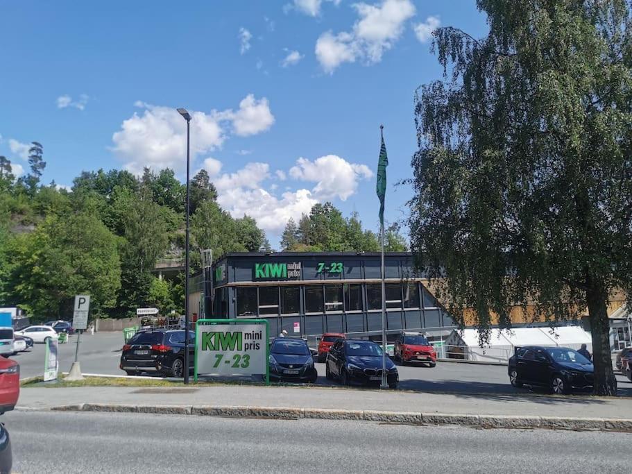 Spacious 3 Bedroom next to Thon Hotel, Storsenter Shopping, and 15 minutes to Oslo, Φωτογραφία 12