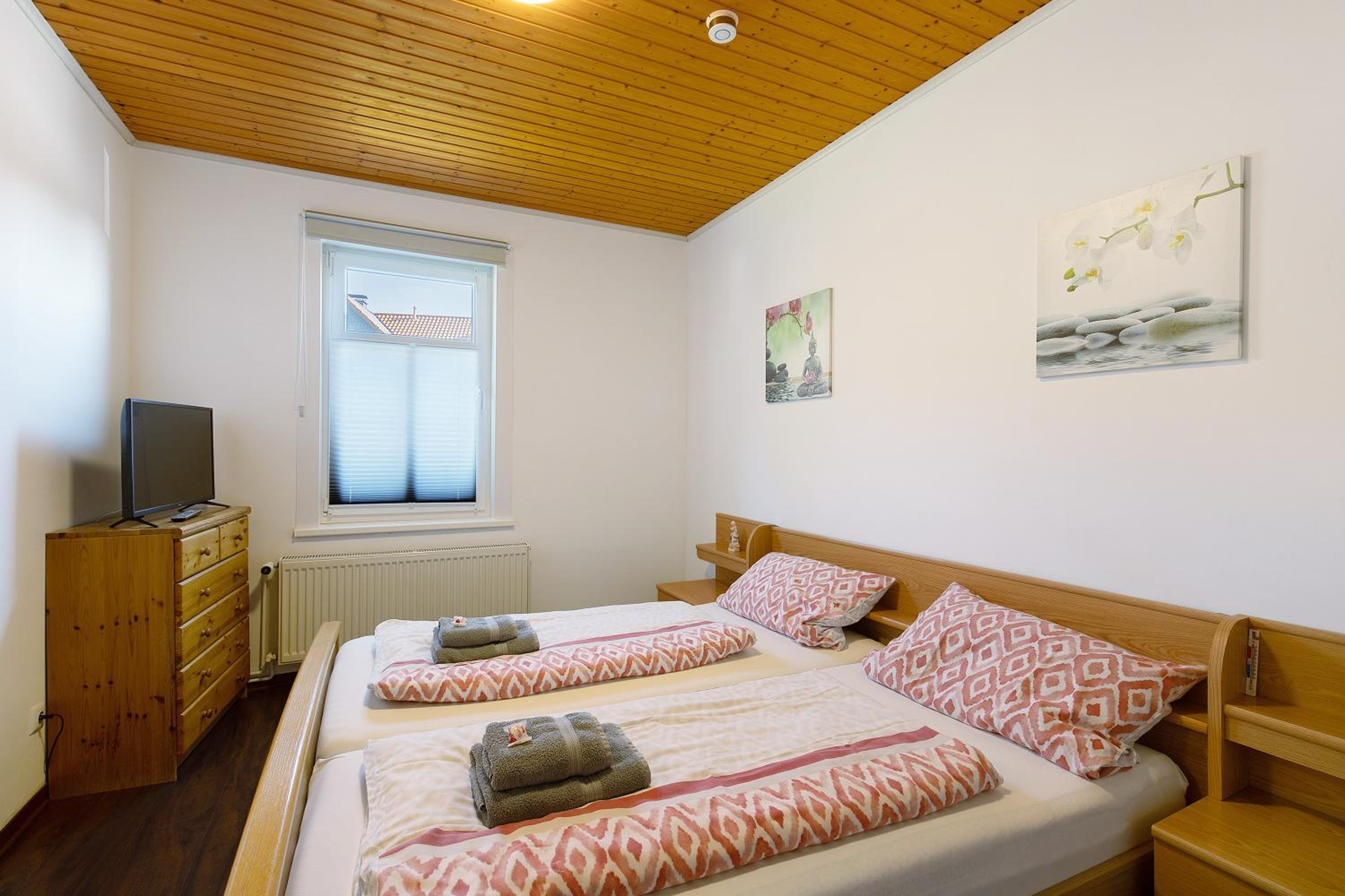 Apartment with Terrace photo 3