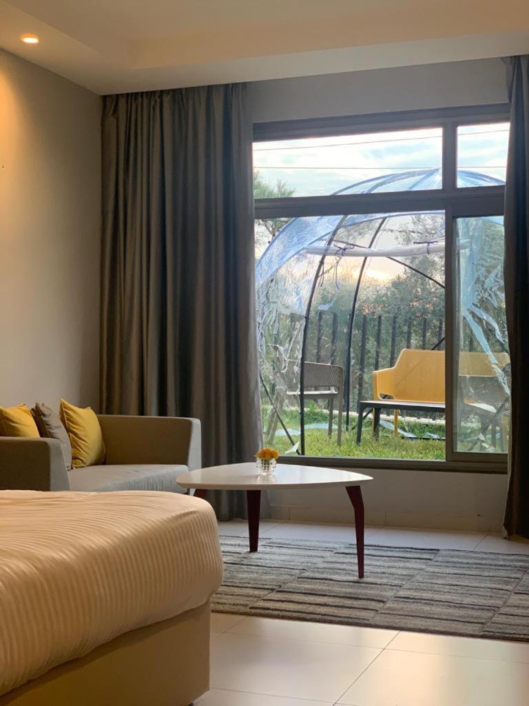 Junior Suite with Terrace photo 1