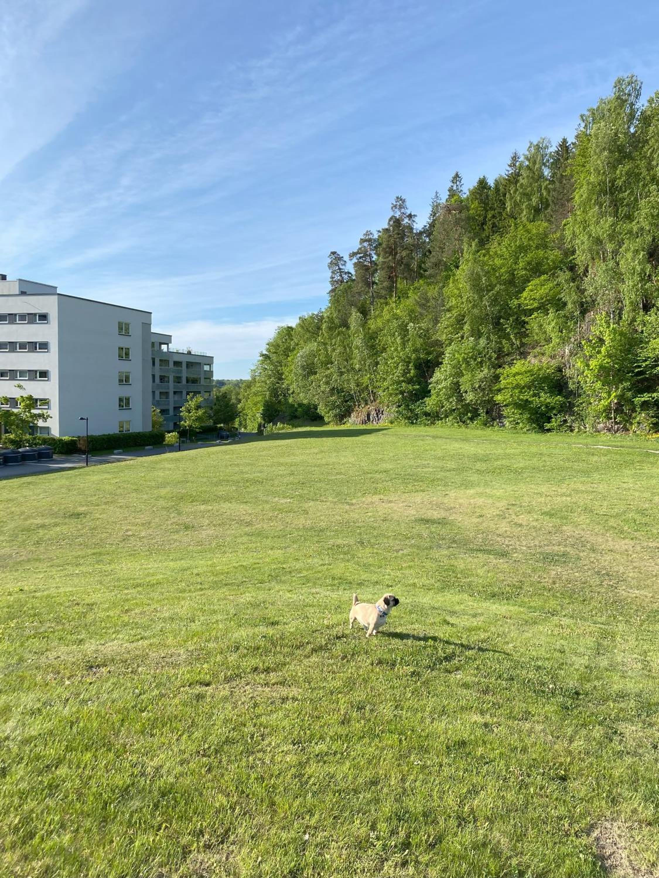 Spacious 3 Bedroom next to Thon Hotel, Storsenter Shopping, and 15 minutes to Oslo, Φωτογραφία 21