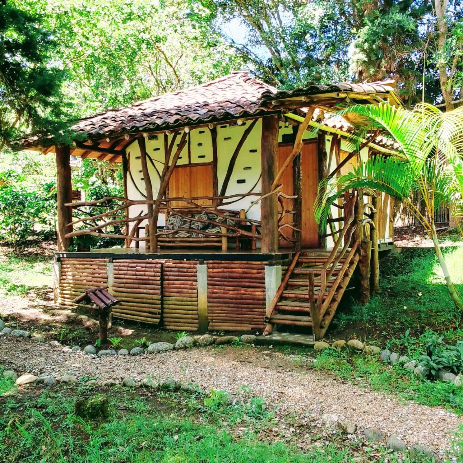 Triple Room with Terrace