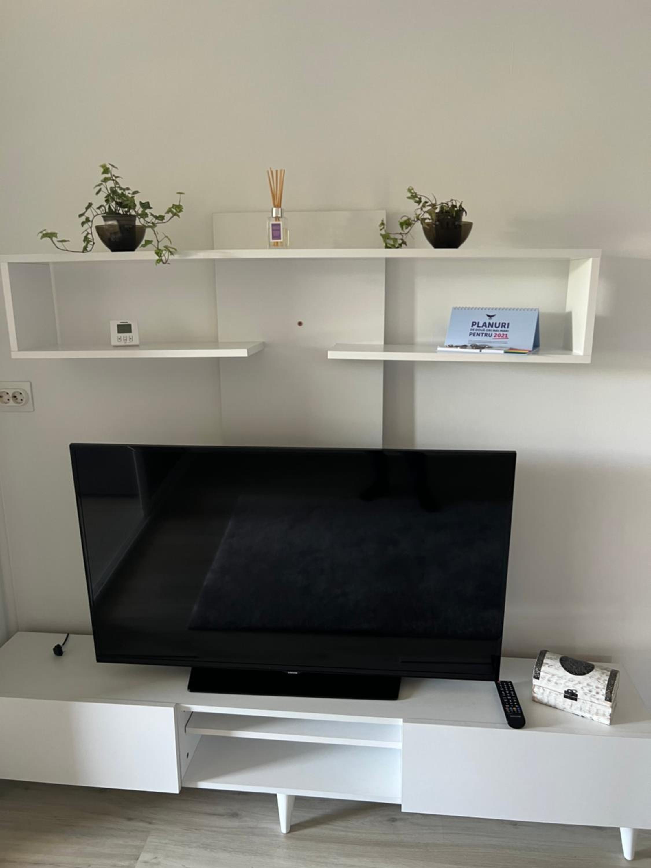 One-Bedroom Apartment photo 3