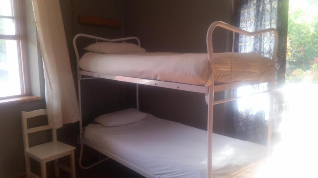 Bed in 6-Bed Mixed Dormitory Room photo 1