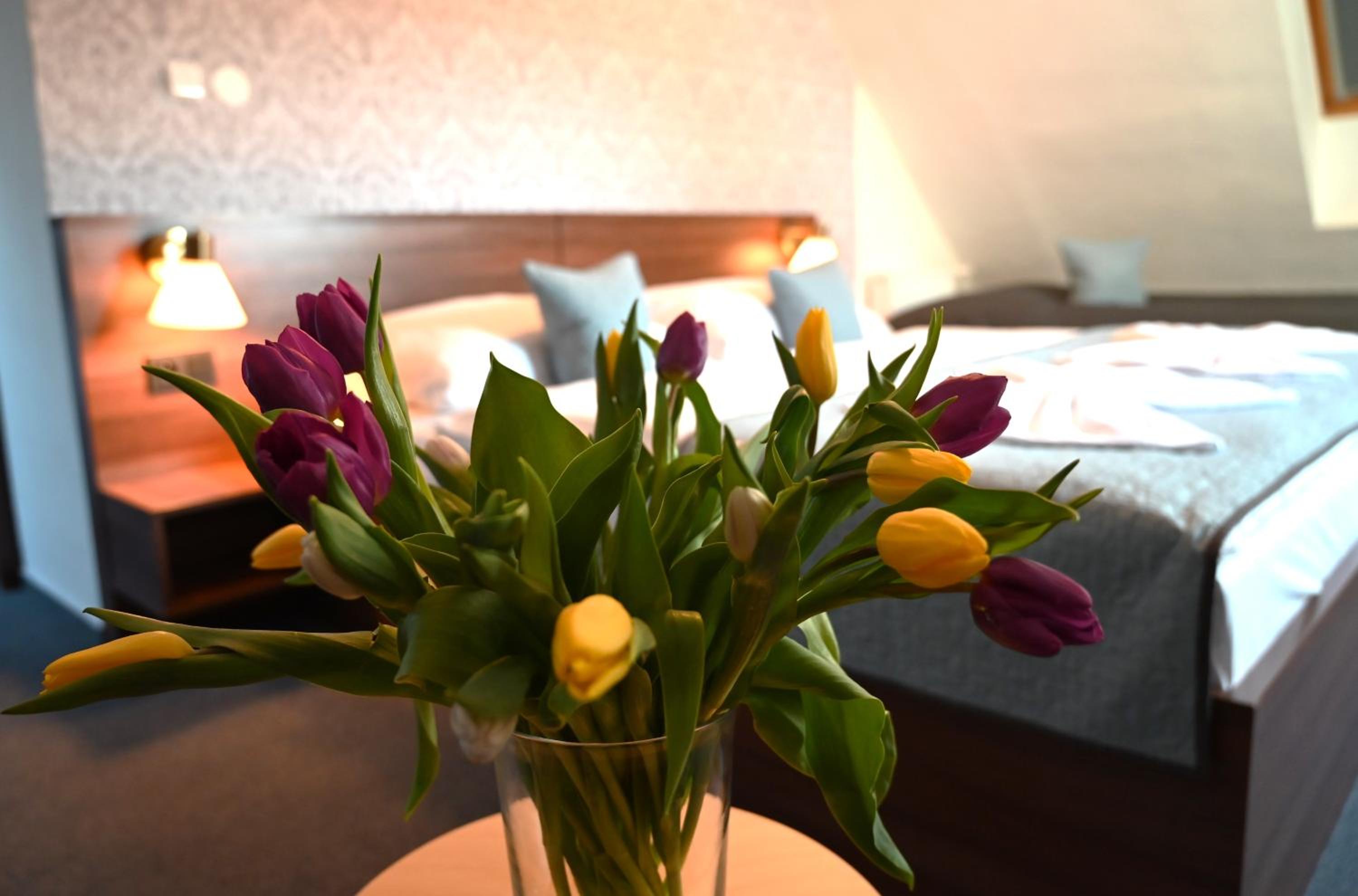 Family Suite - Photo 2