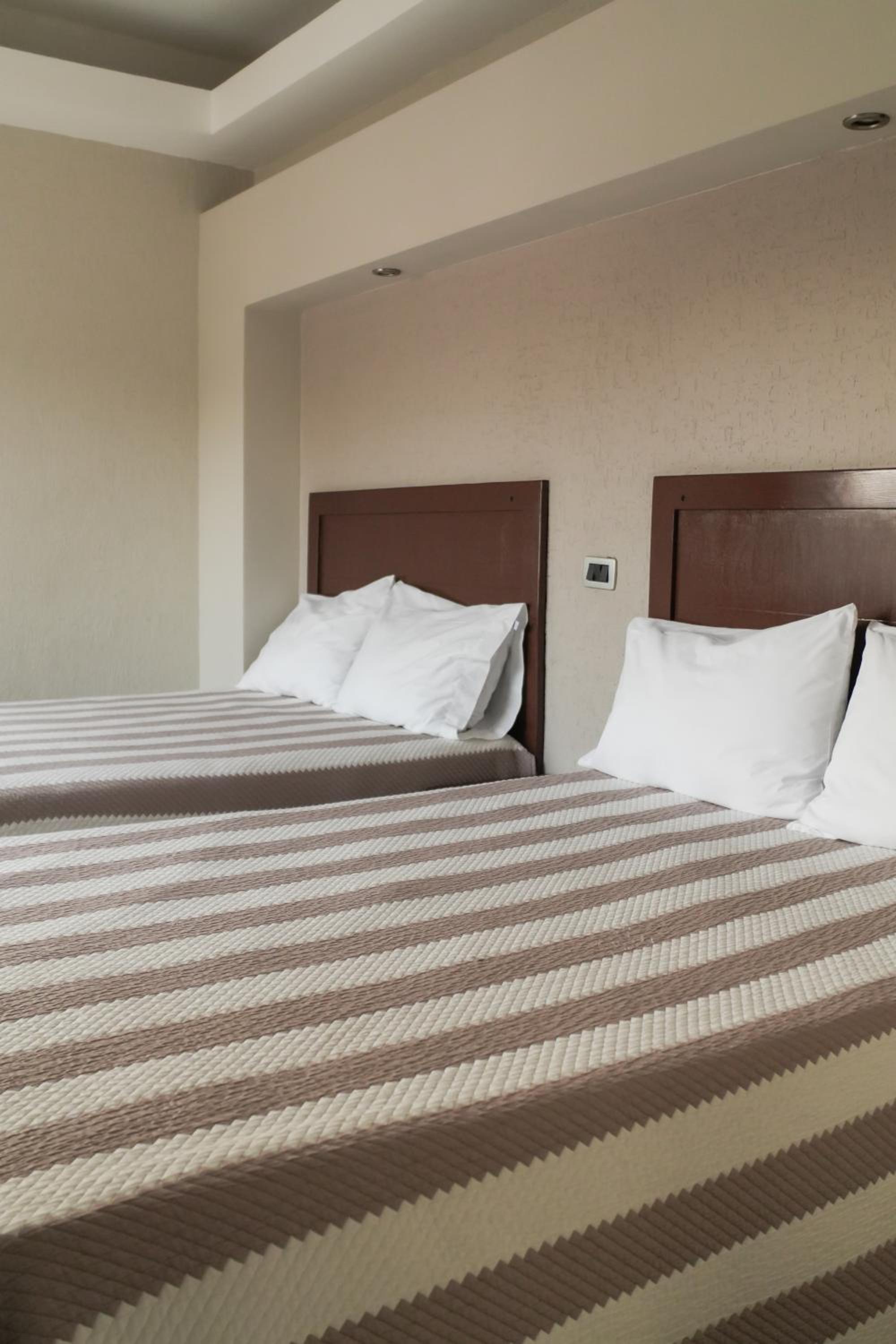 Twin Room photo 3