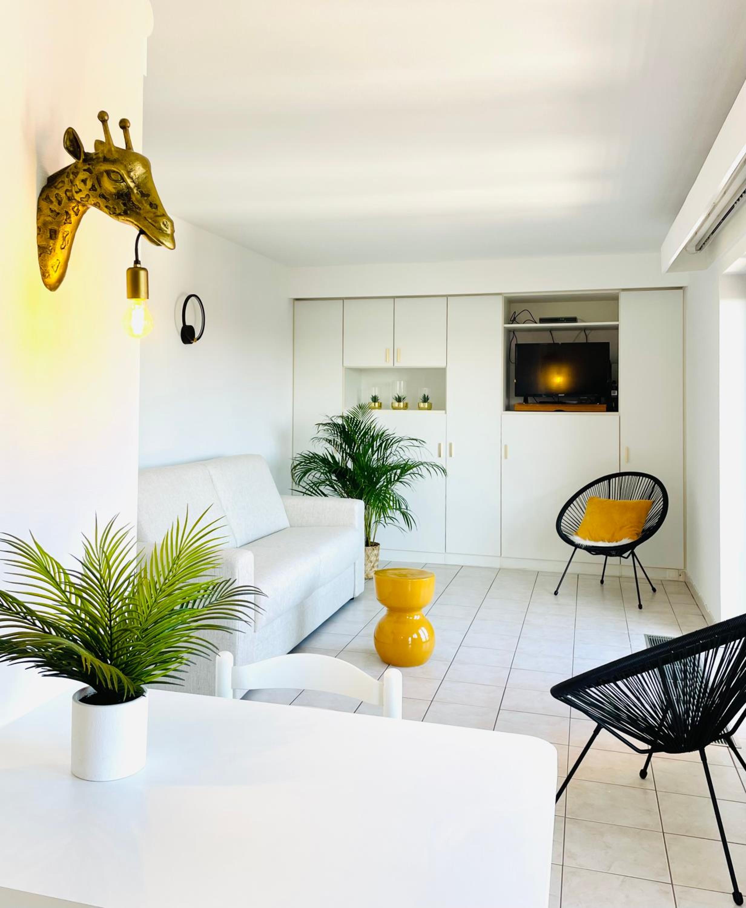 Studio with Terrace photo 3