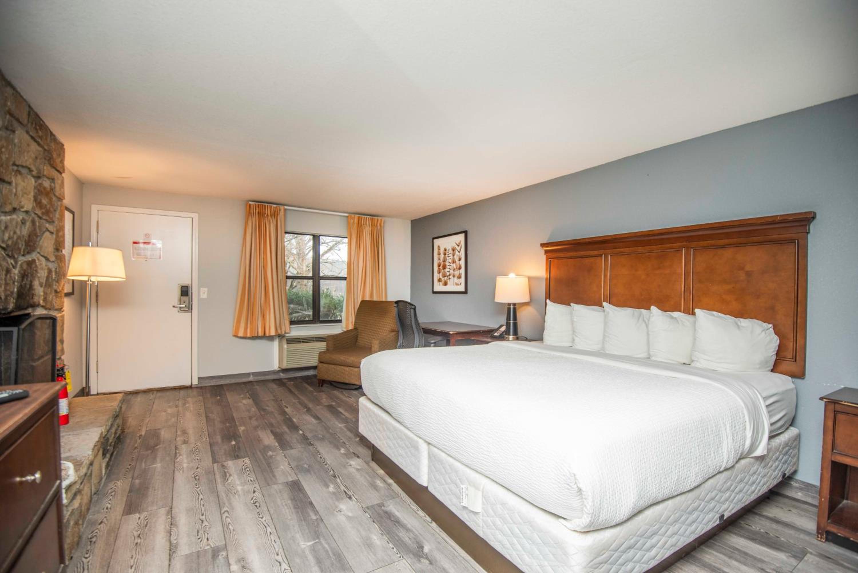 1 King, Pet Friendly: Fireplace + Mountain Retreat	