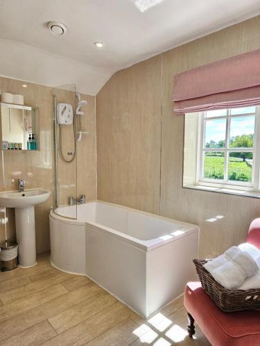 Twin Room photo 3