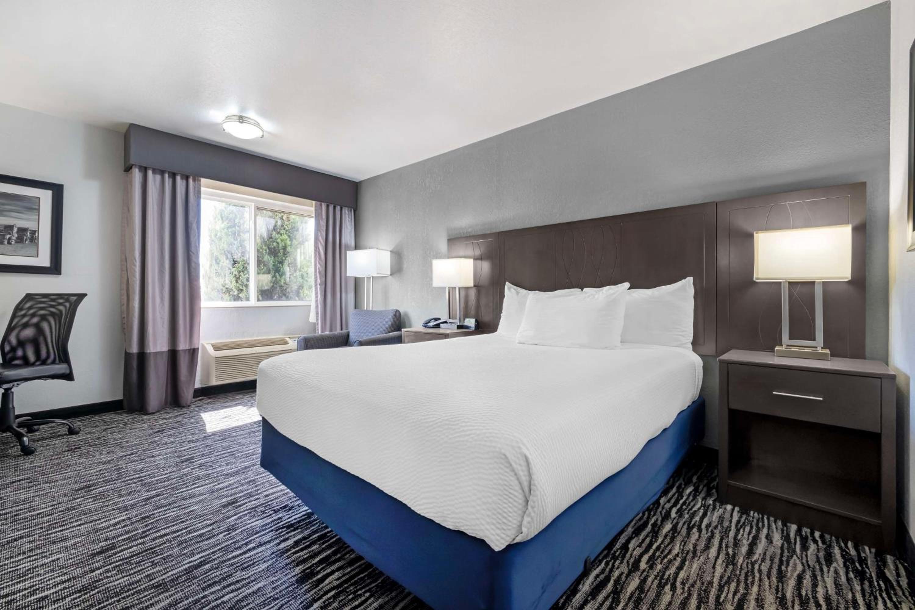 Queen Room - Disability Access/Non-Smoking - Photo 1