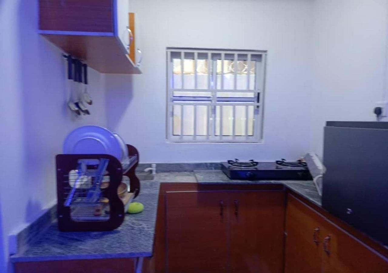 Studio Apartment with King Bed photo 3