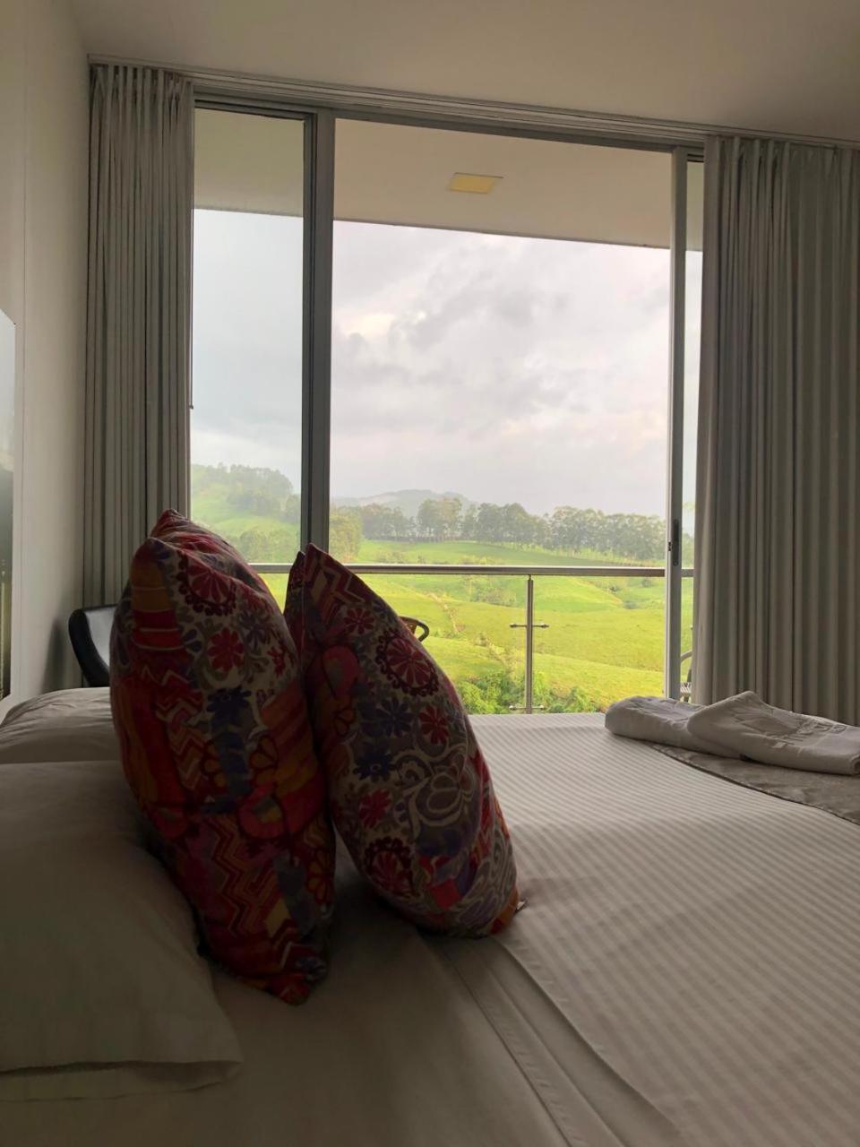 Large Single Room photo 3