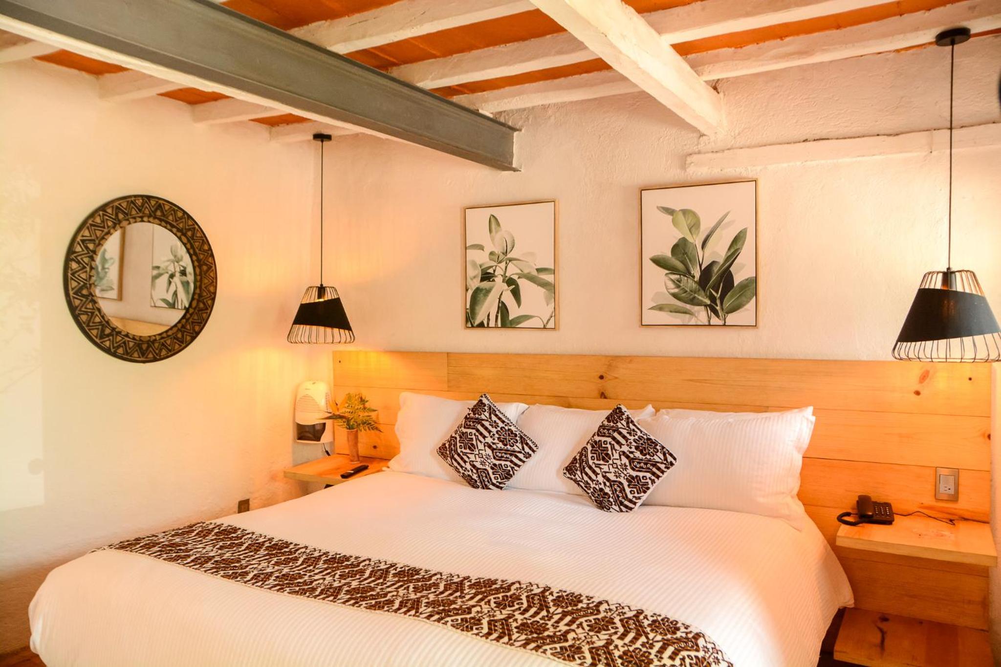 King Room - Pet Friendly