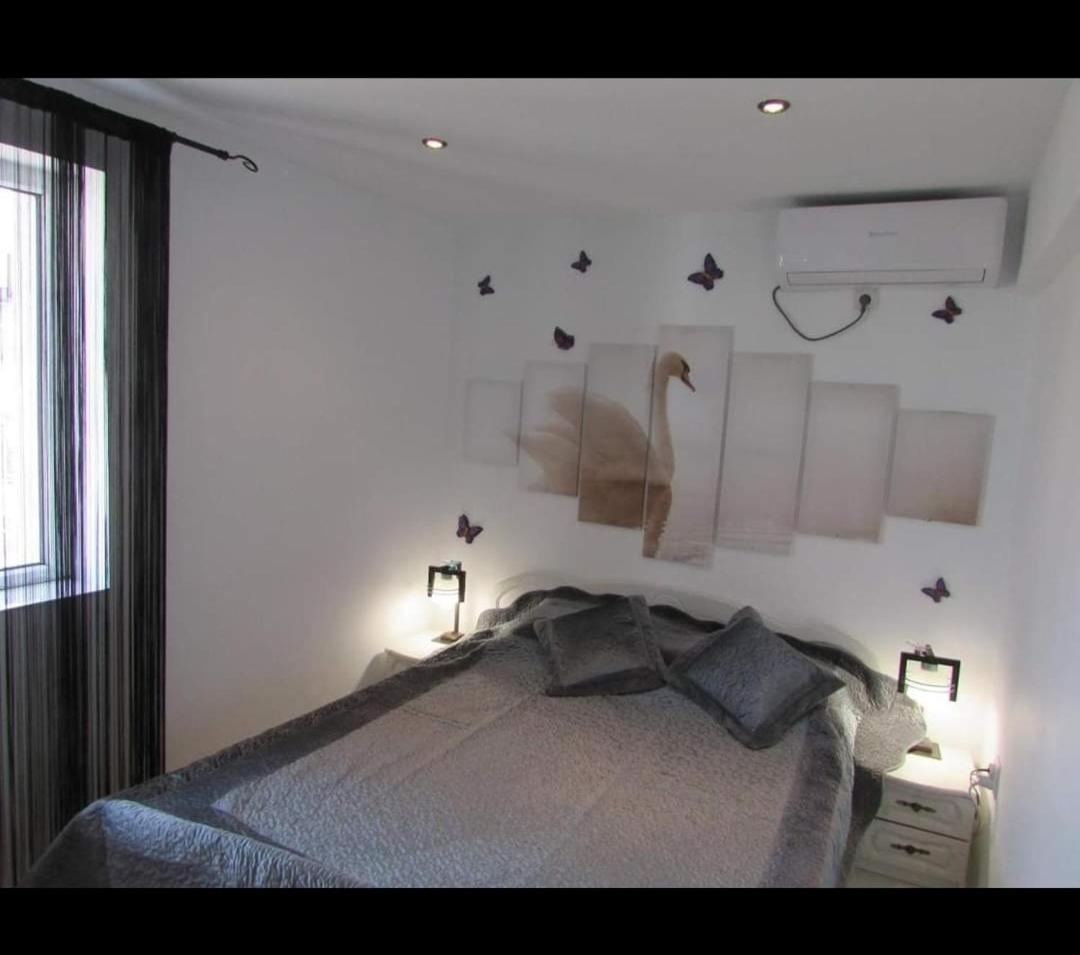 One-Bedroom Apartment photo 3