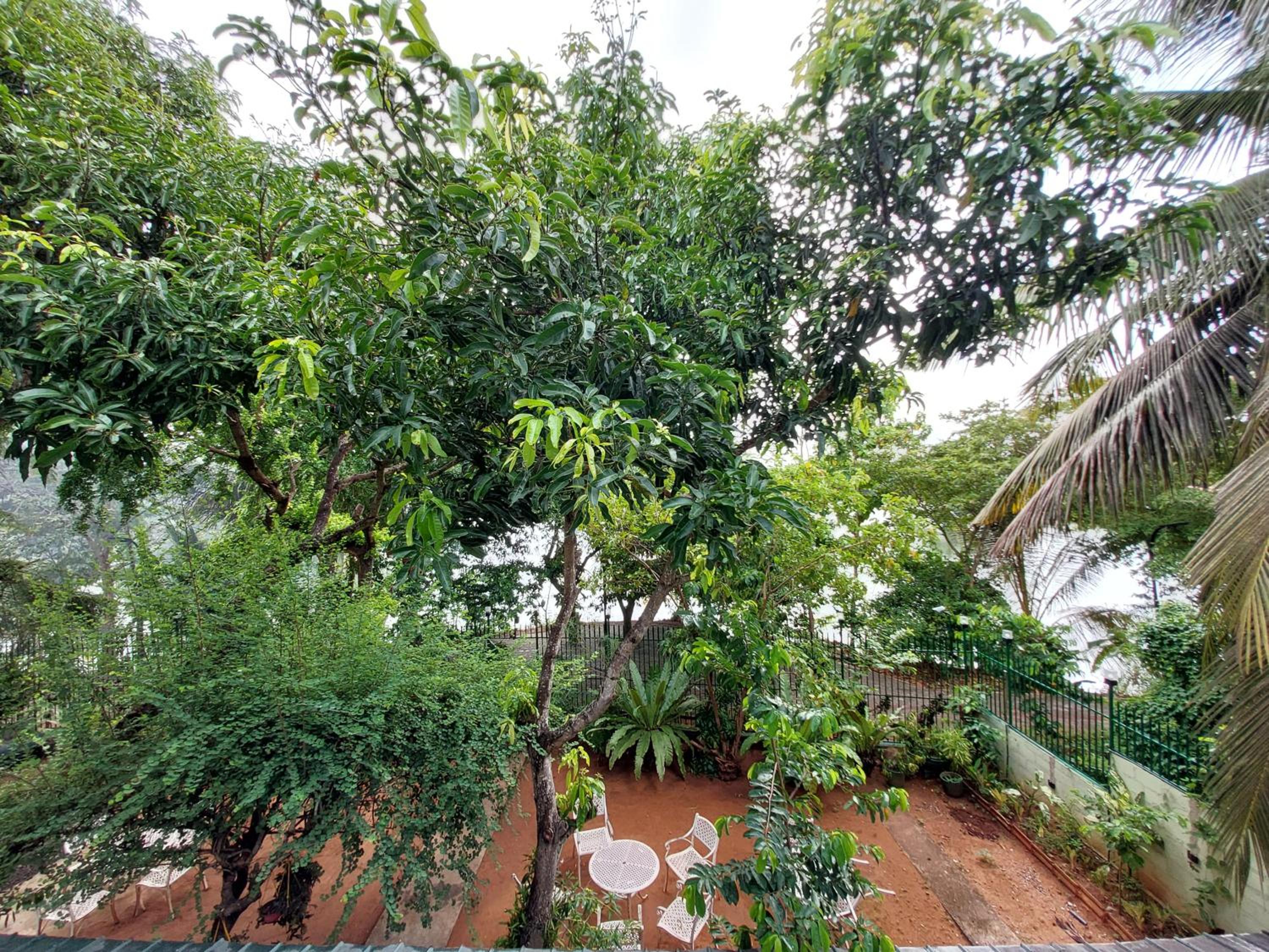 Triple Room with Balcony photo 2
