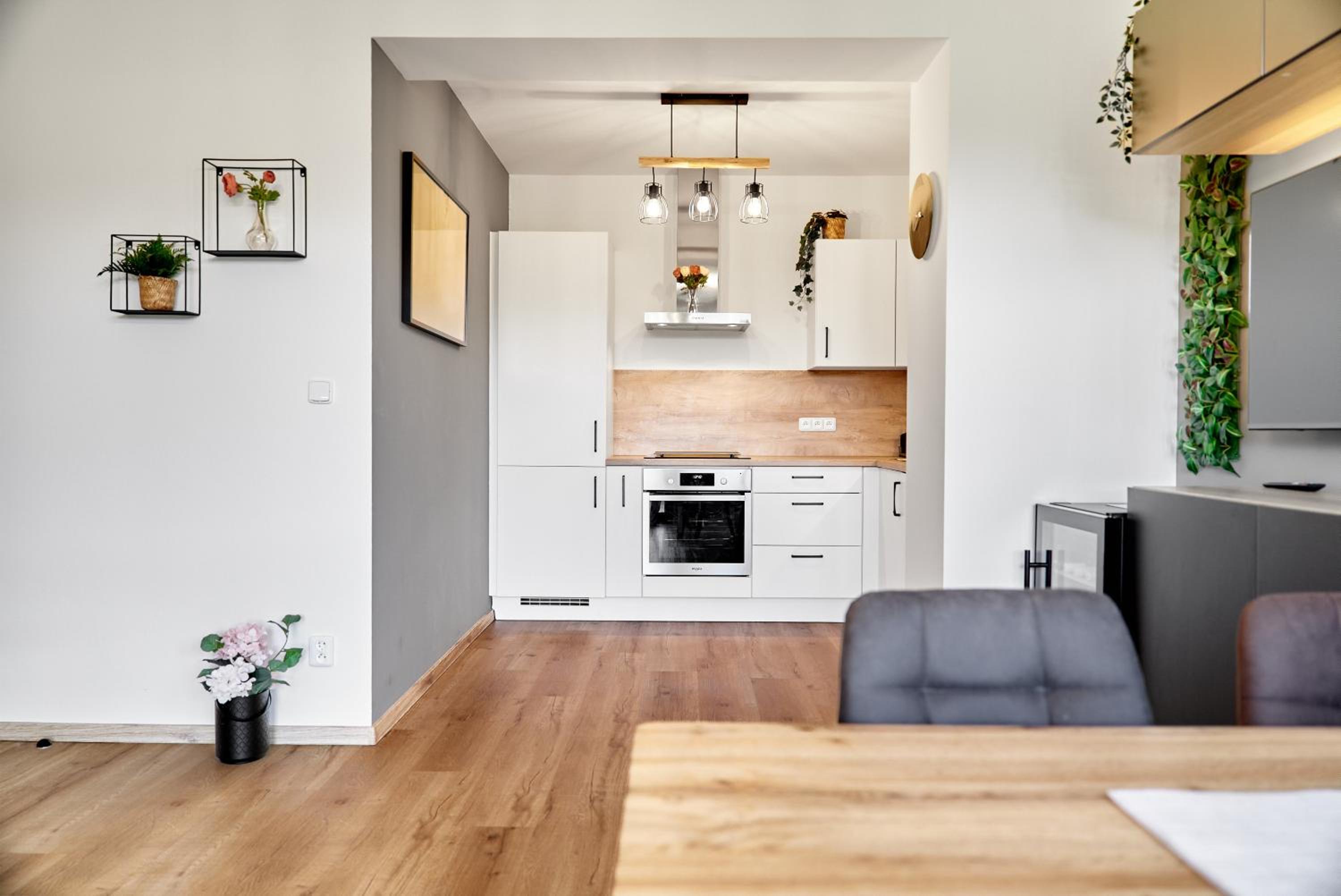 Apartment with Mountain View photo 3