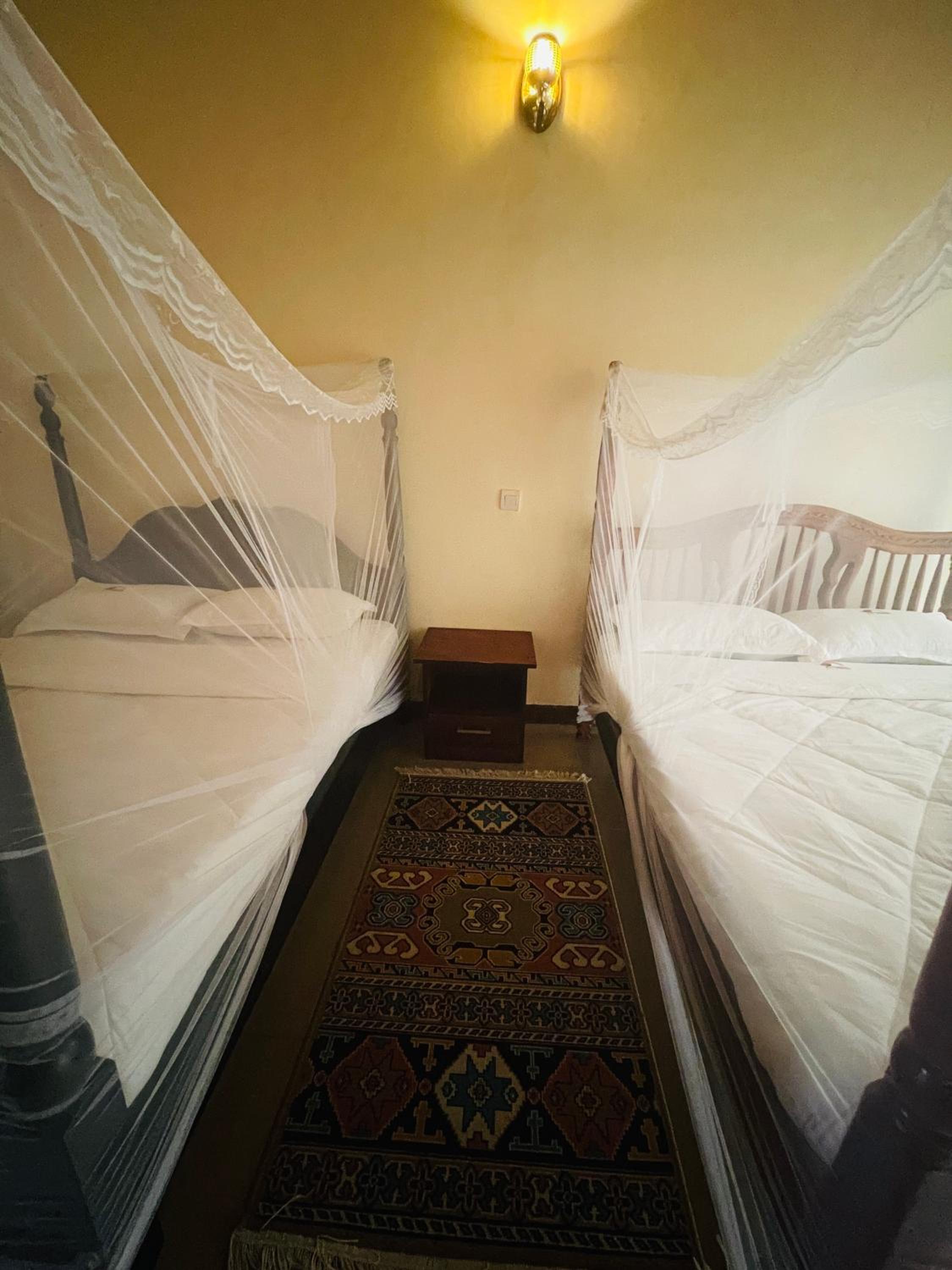 Twin Room photo 1