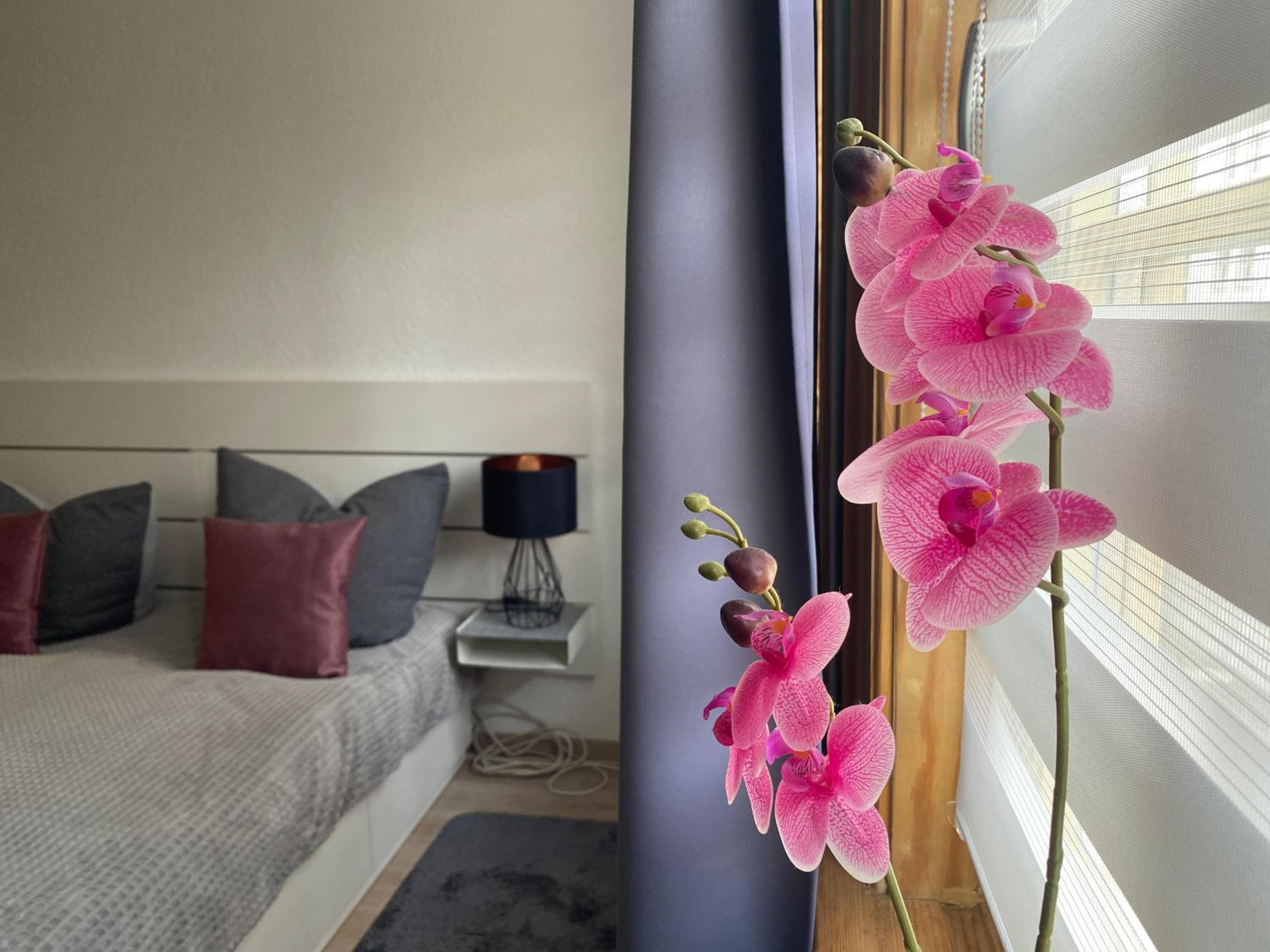 Apartment Frida photo 3