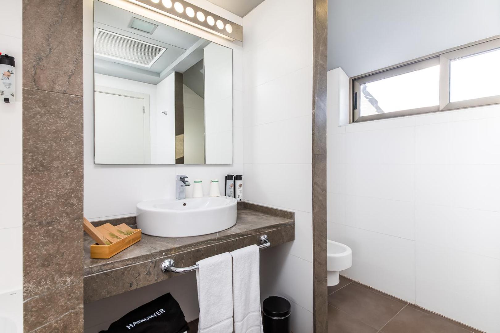 Deluxe Suite - Photo 11