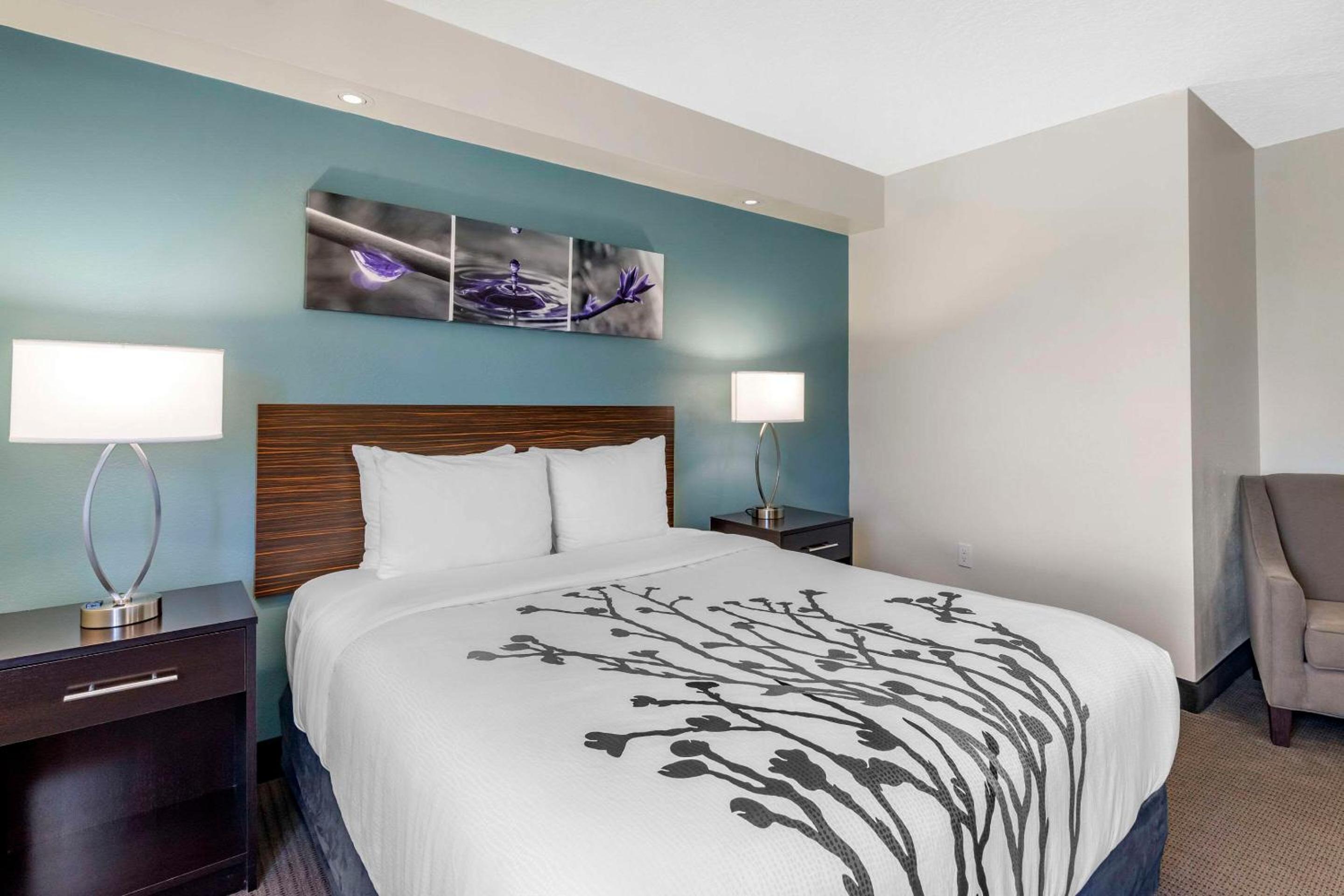 Queen Room - Disability Access - Non -Smoking - Photo 4