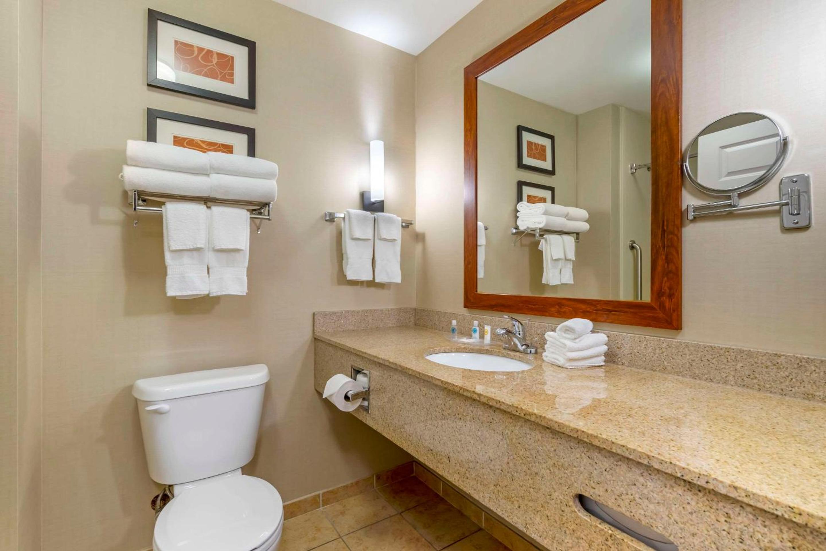 King Suite - Non-Smoking photo 3