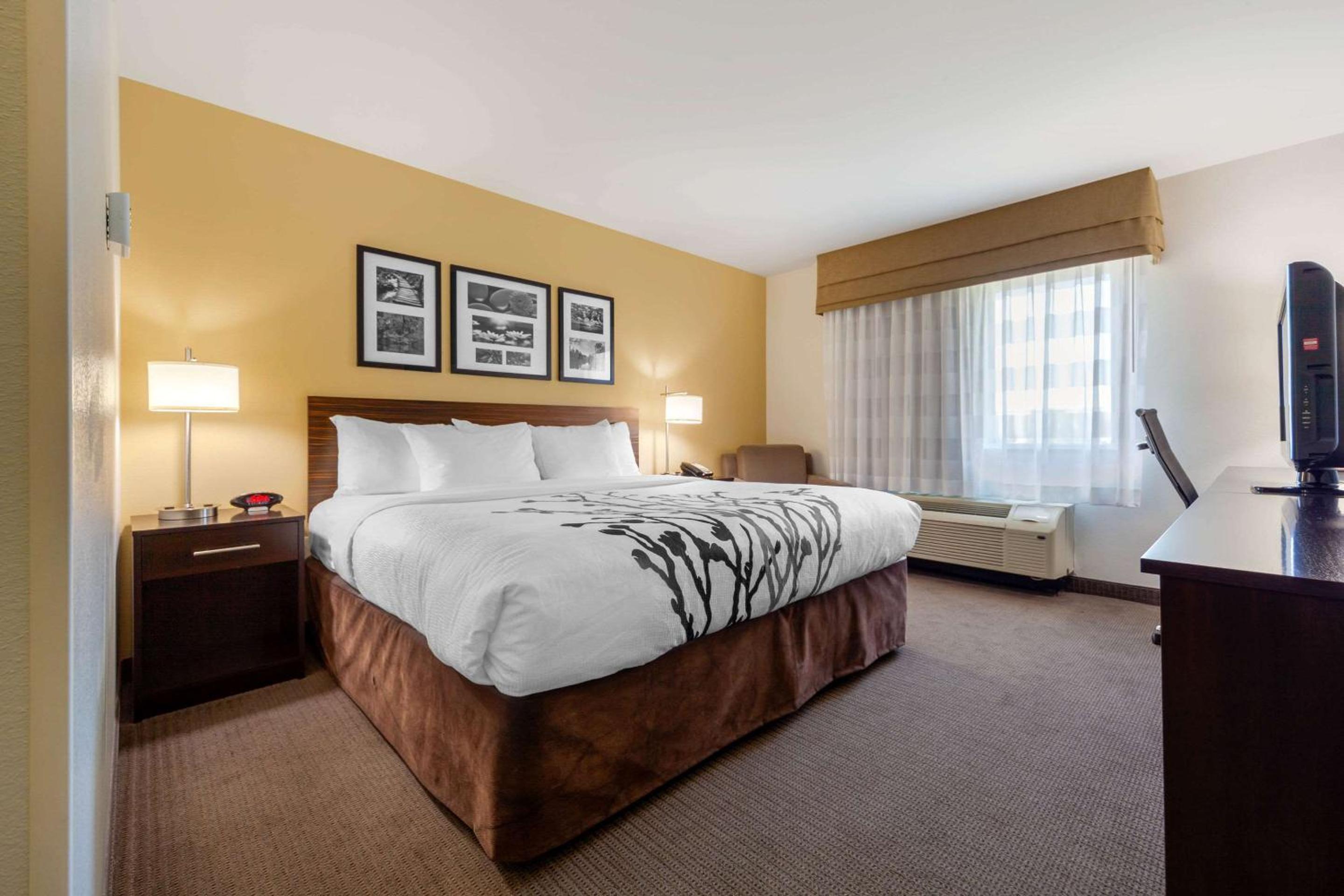 Standard King Room - Non-Smoking  photo 1