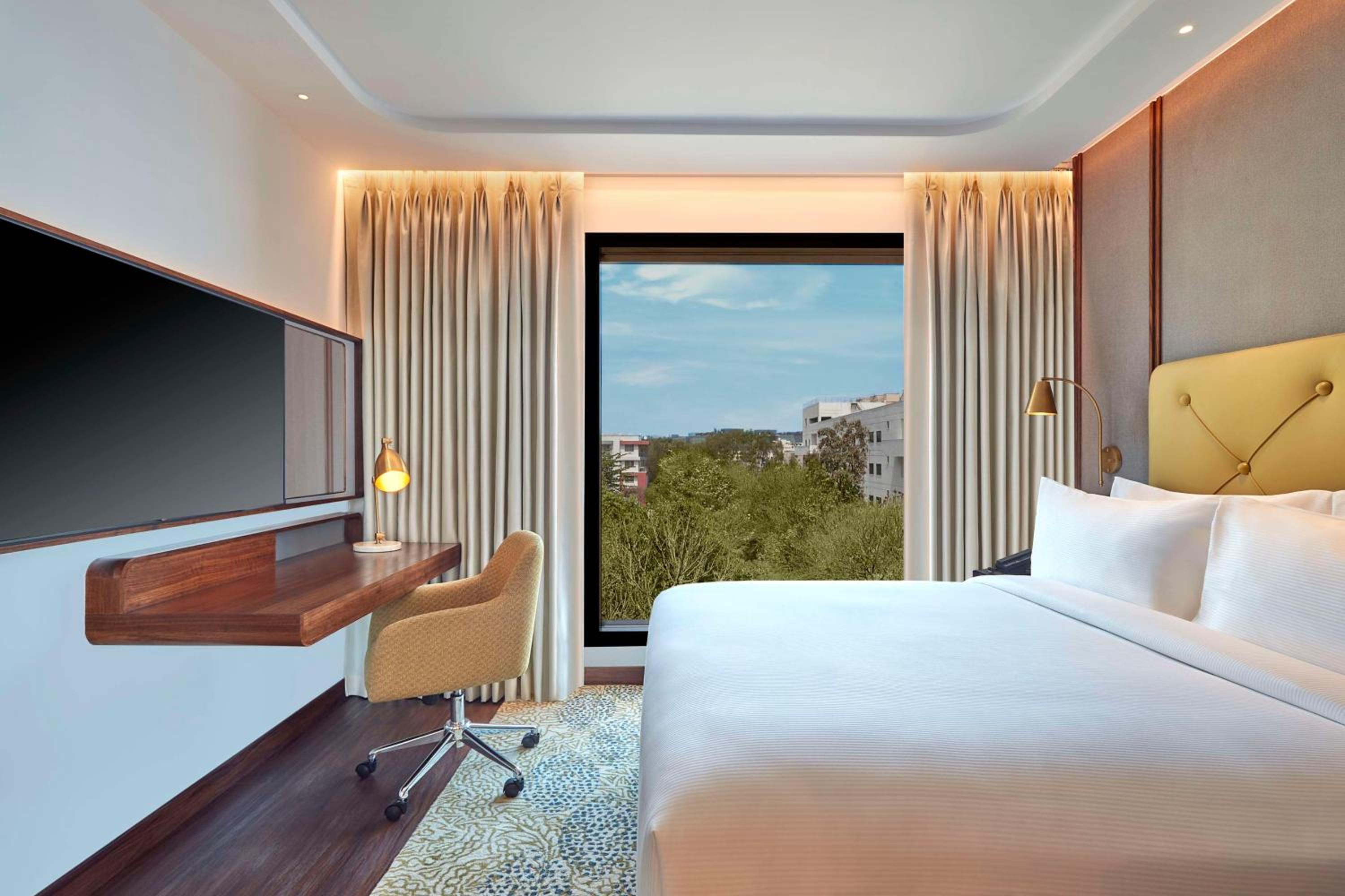 Deluxe King Suite - Photo 1