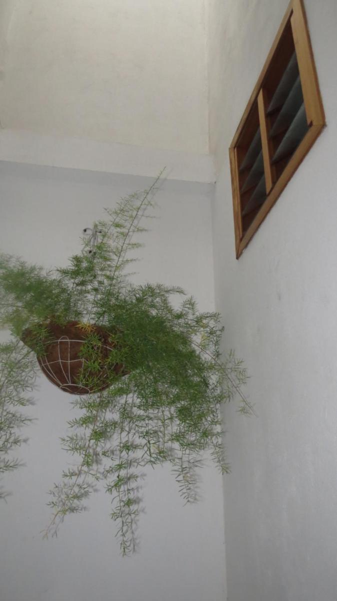 Family Room with Private Bathroom photo 3