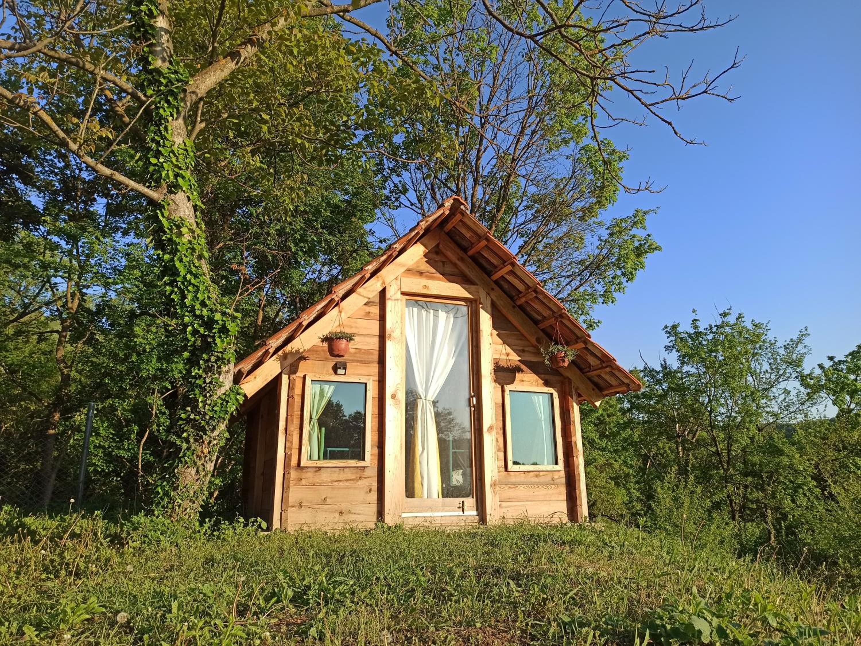 Twin Room with Lake View photo 2