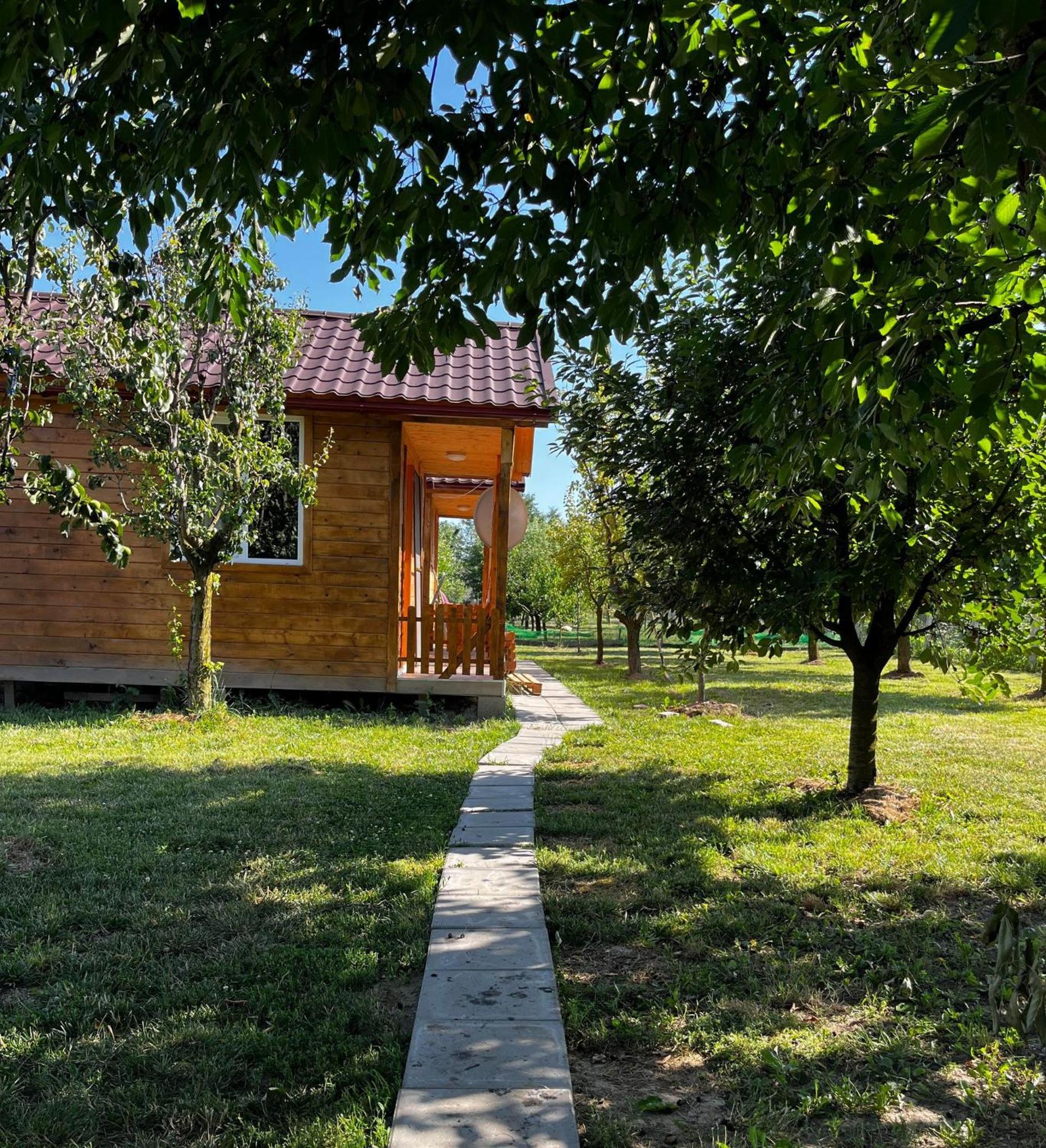 One-Bedroom House photo 3