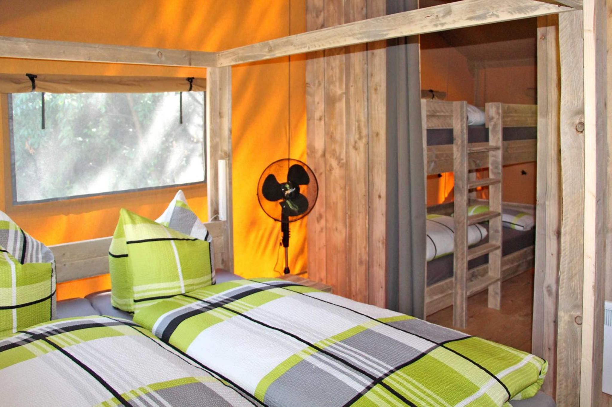 TENT 1  photo 1