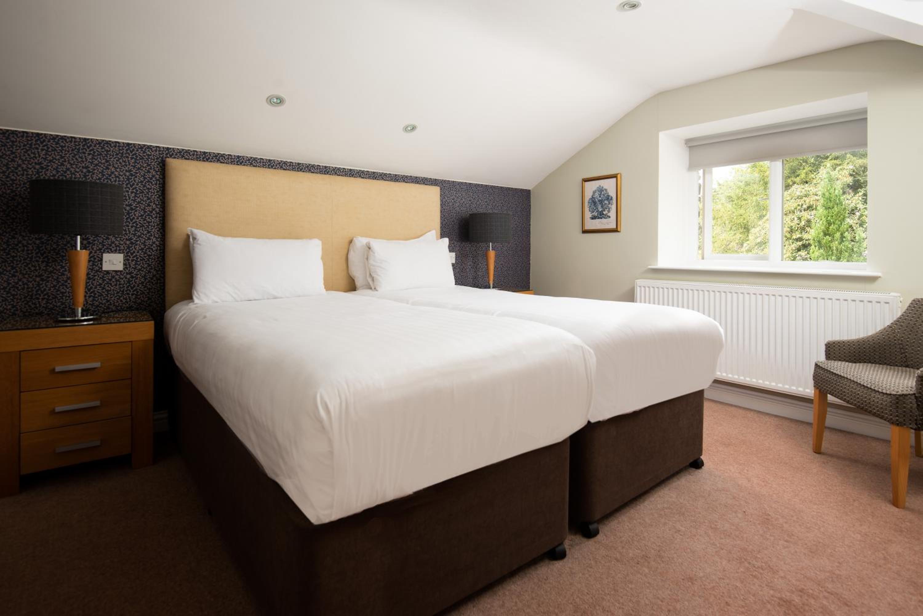 Double or Twin Room photo 1