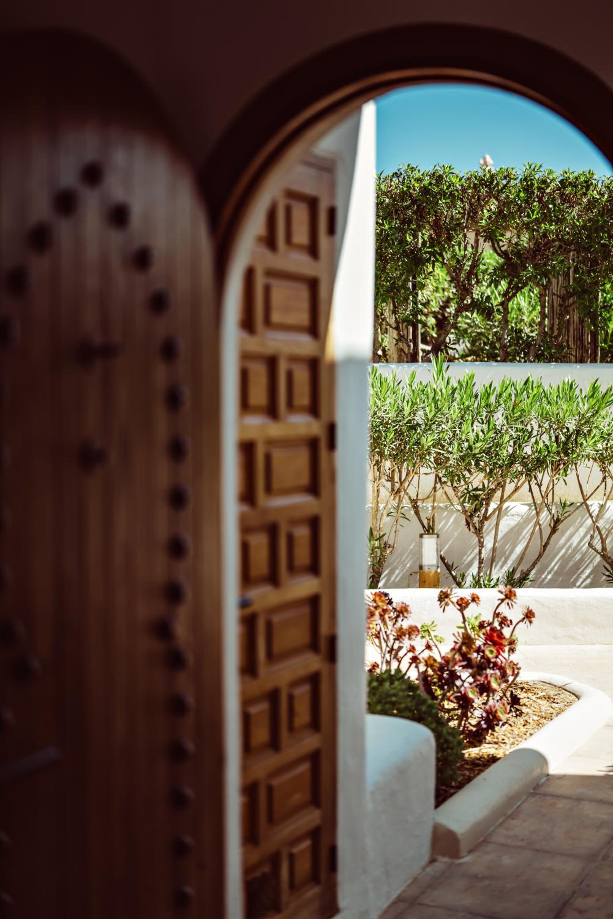 Suite Planta Baja con Terraza photo