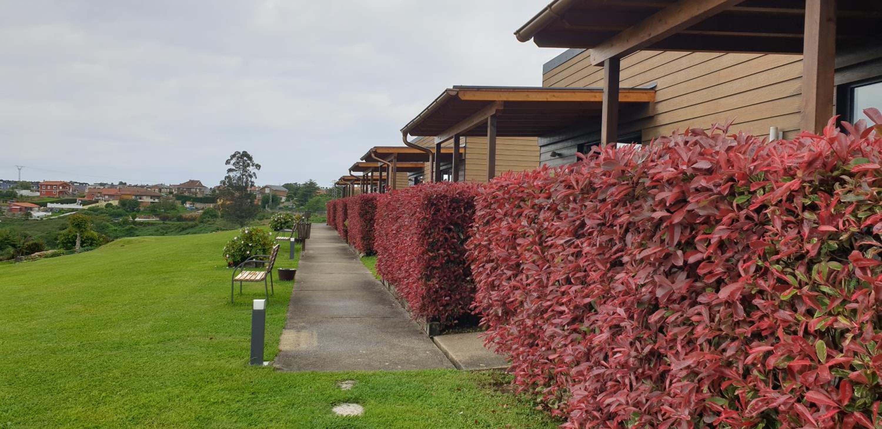 Two-Bedroom Bungalow - Photo 19