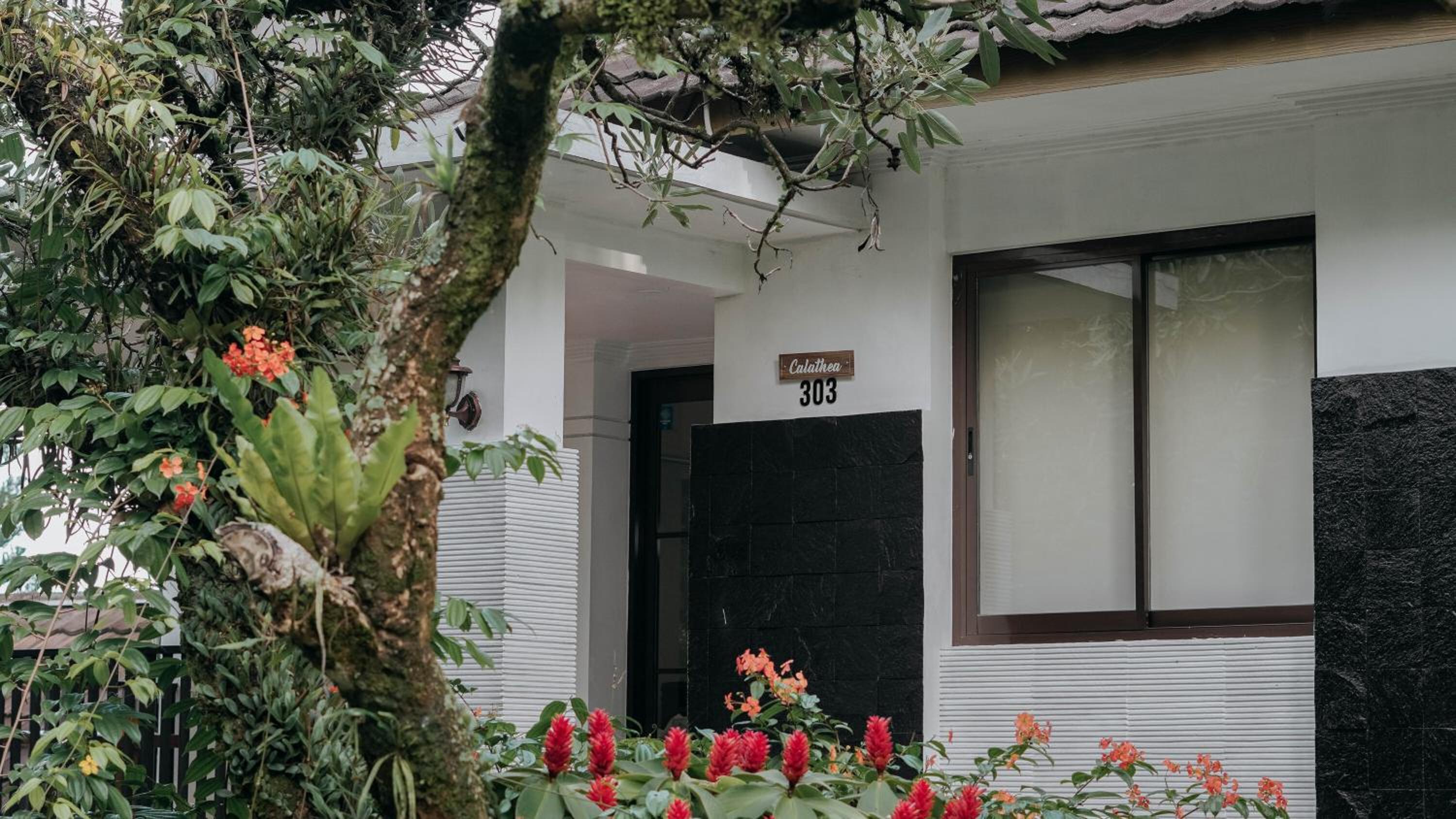 Two-Bedroom Villa - Photo 7