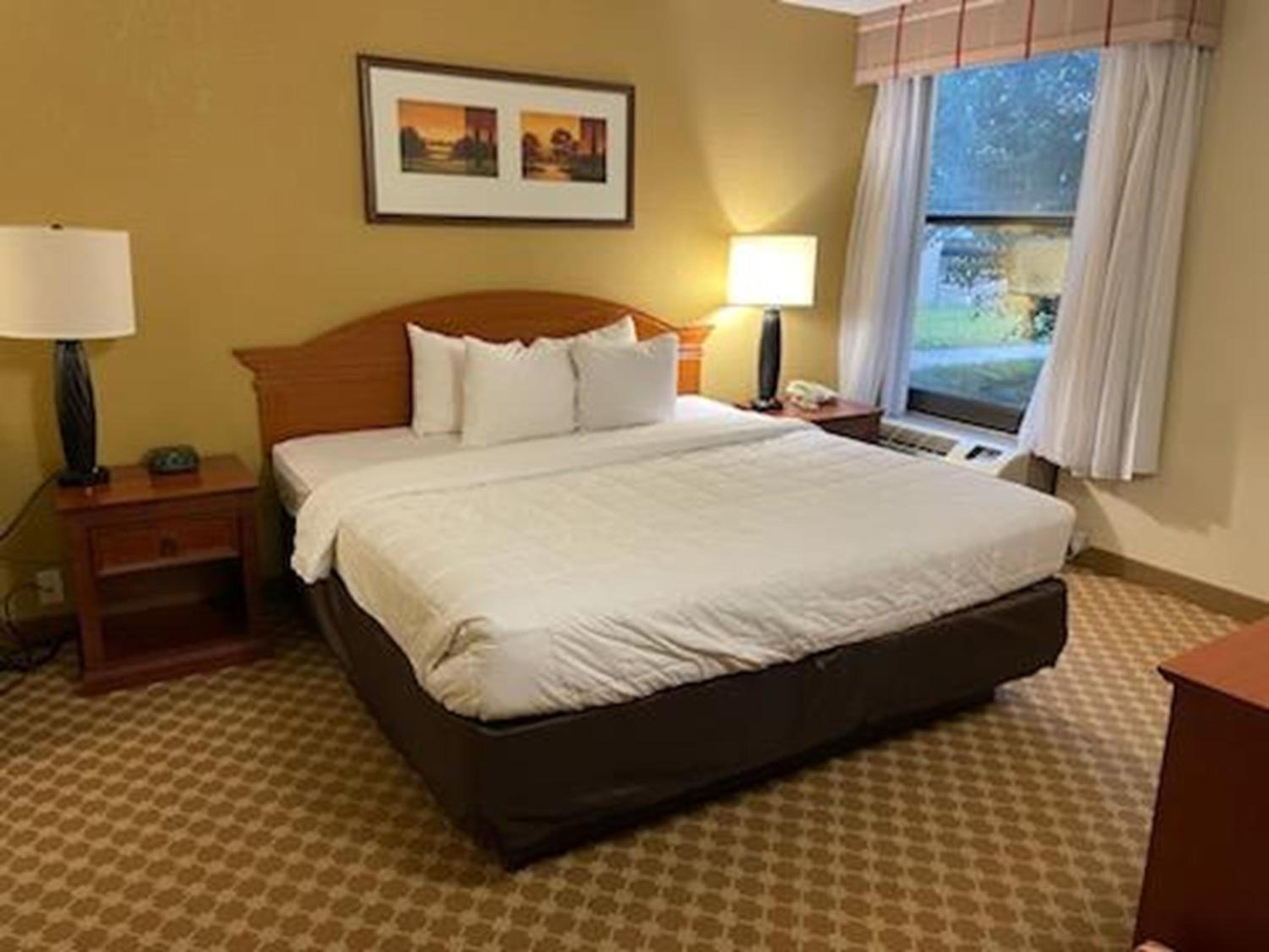 One Bedroom King Suite With Sofa Bed - Non Smoking photo 1