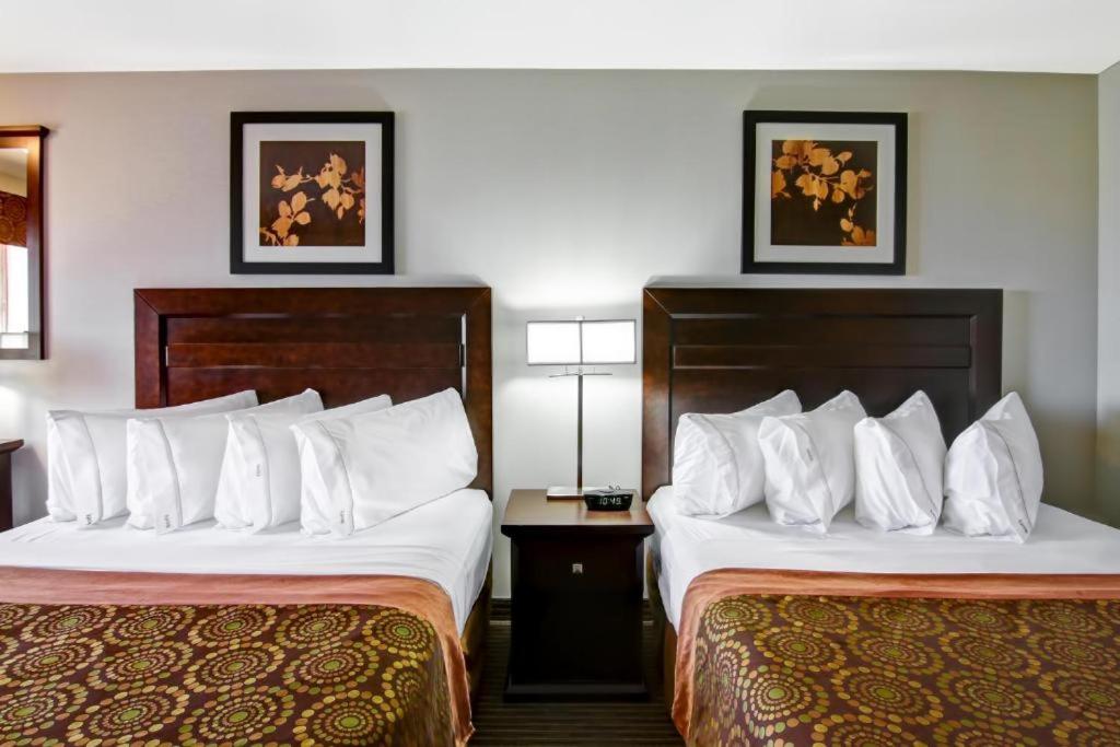 Queen Room with Two Queen Beds