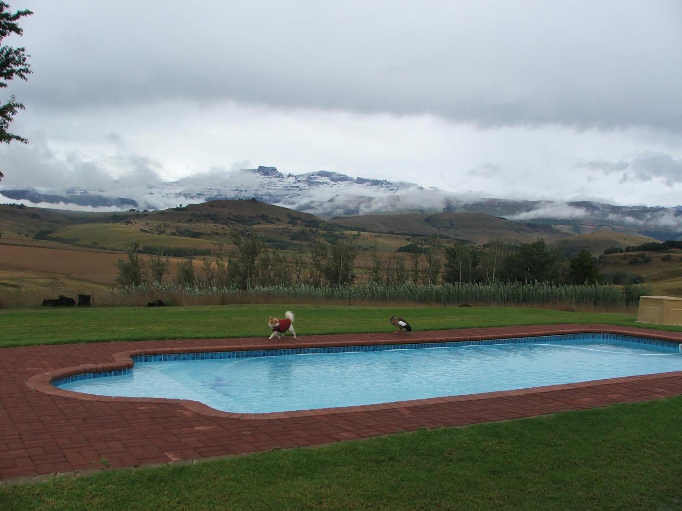 Suite with Mountain View - Photo 2