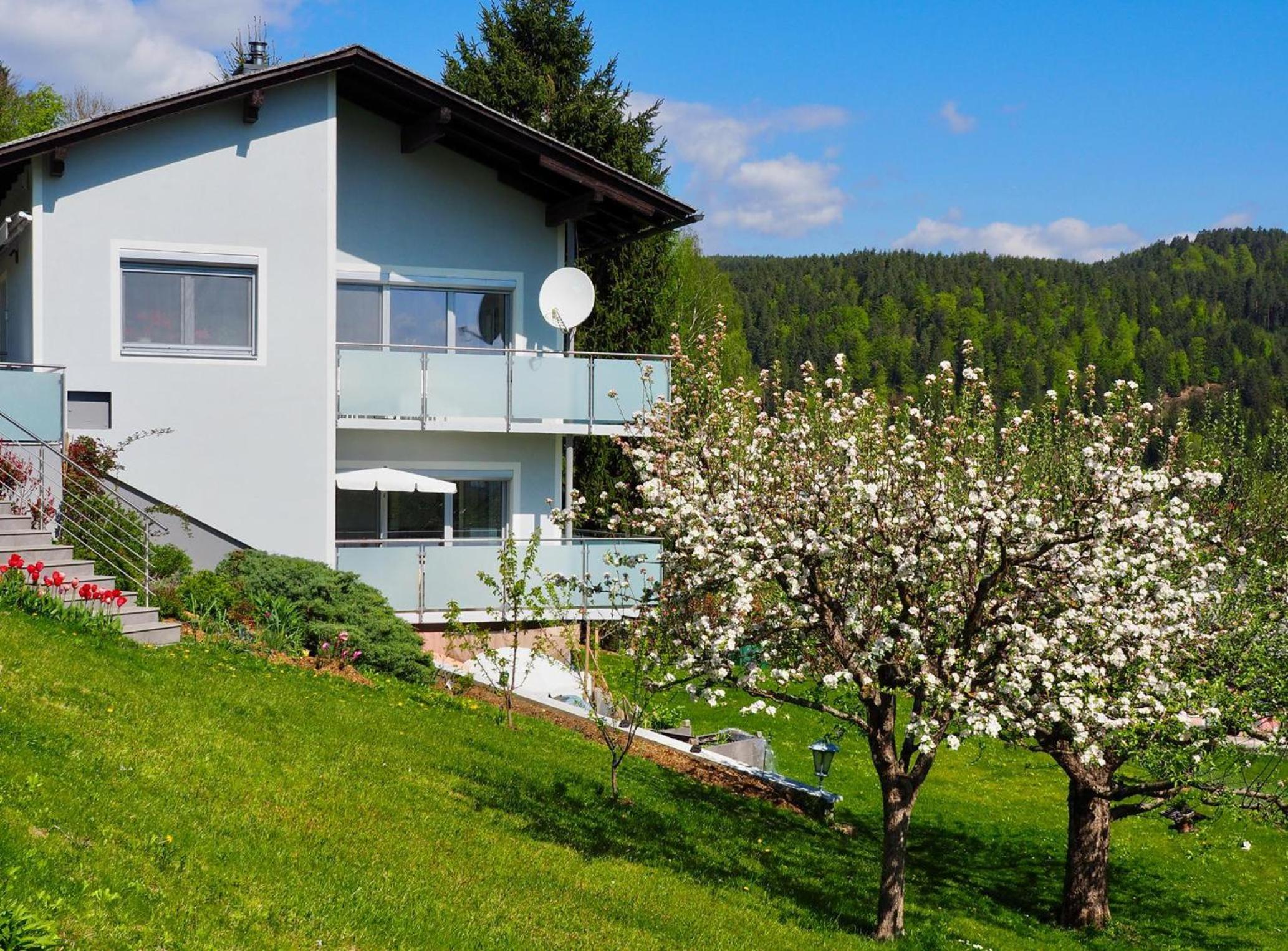 Superior One-Bedroom Apartment with Balcony photo 2