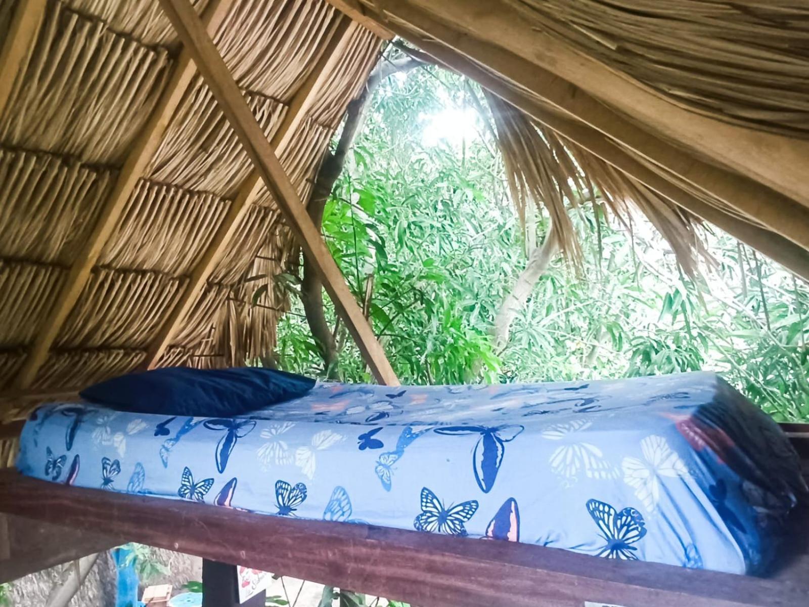 Standard Single Room with Mountain View photo 2