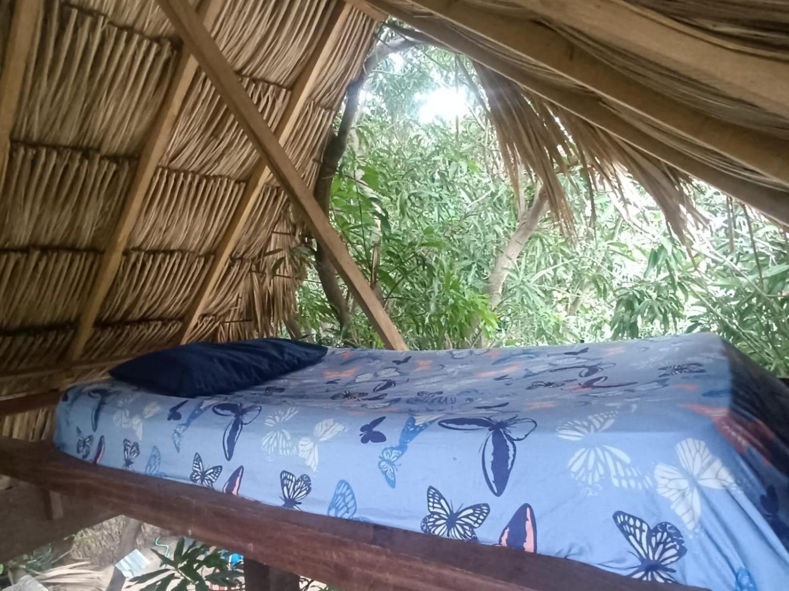 Standard Single Room with Mountain View photo 3