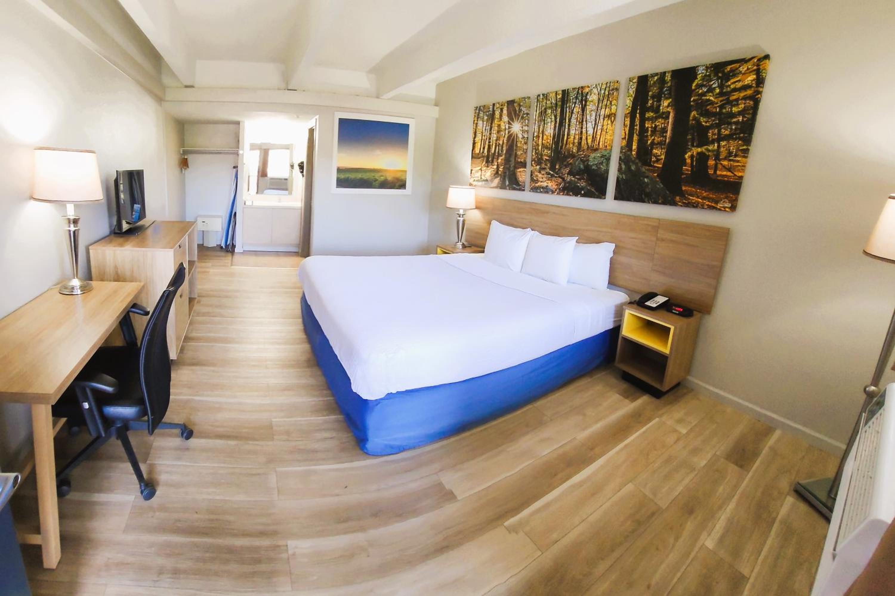 King Room - Non-Smoking - Photo 1
