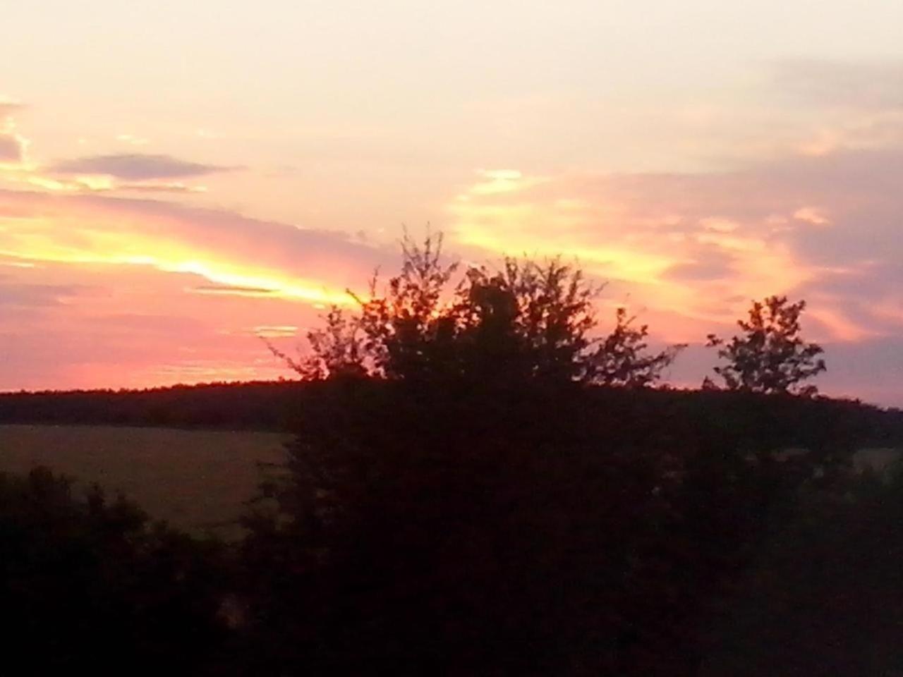 Holiday Home photo 2