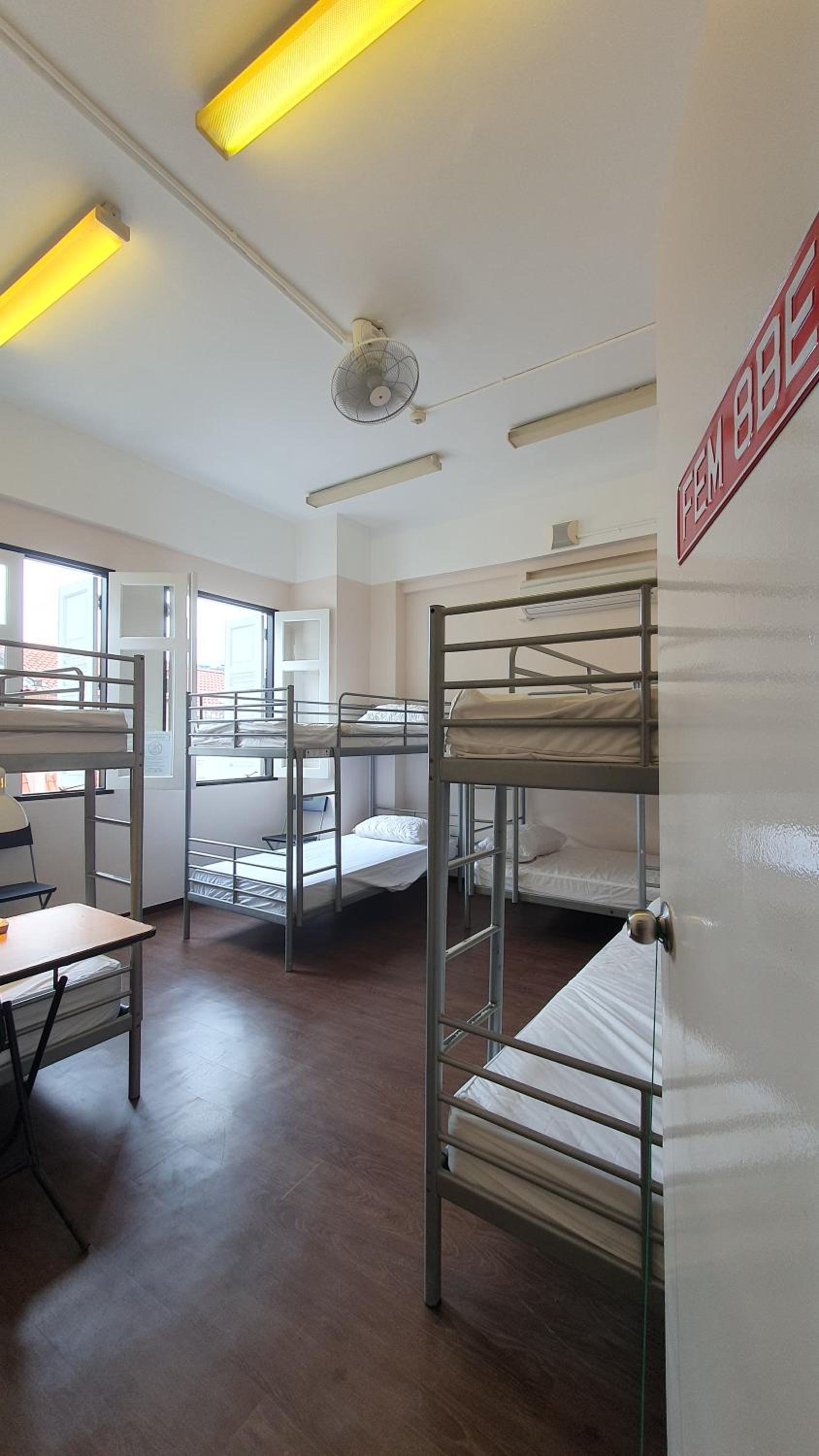 Bunk Bed in 8-Bed Female Dormitory Room photo 1