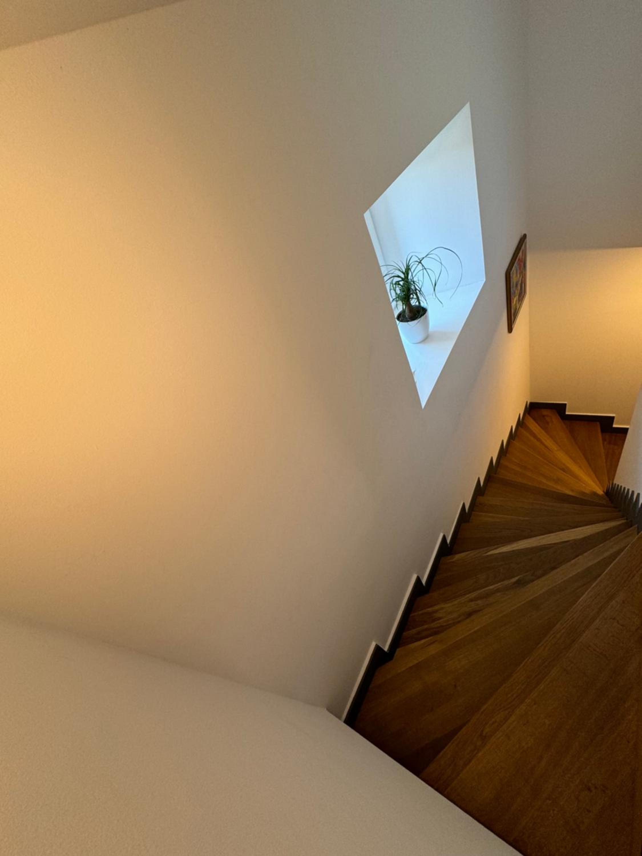 Duplex Apartment photo 3