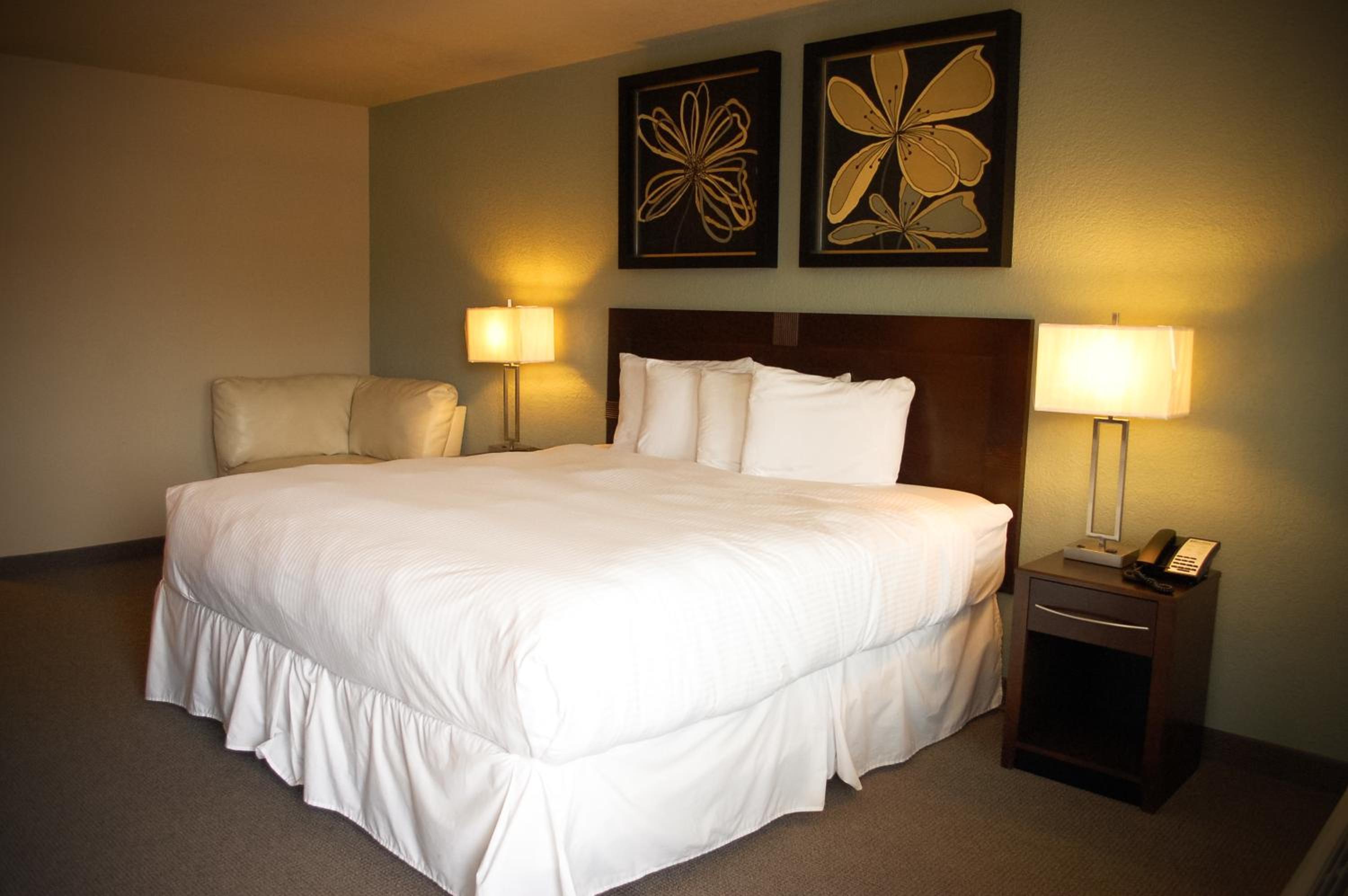 Deluxe King Room - Photo 4