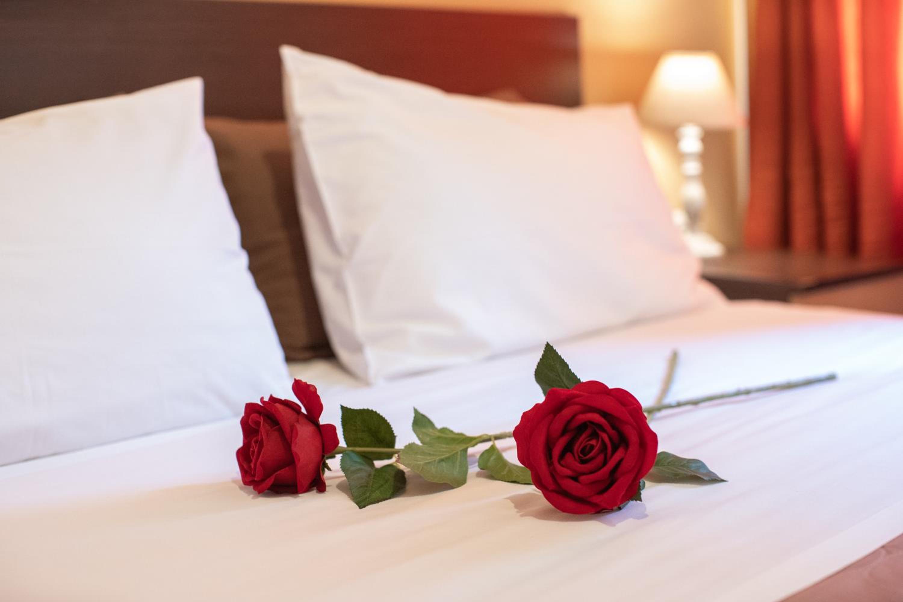 Double or Twin Room photo 3