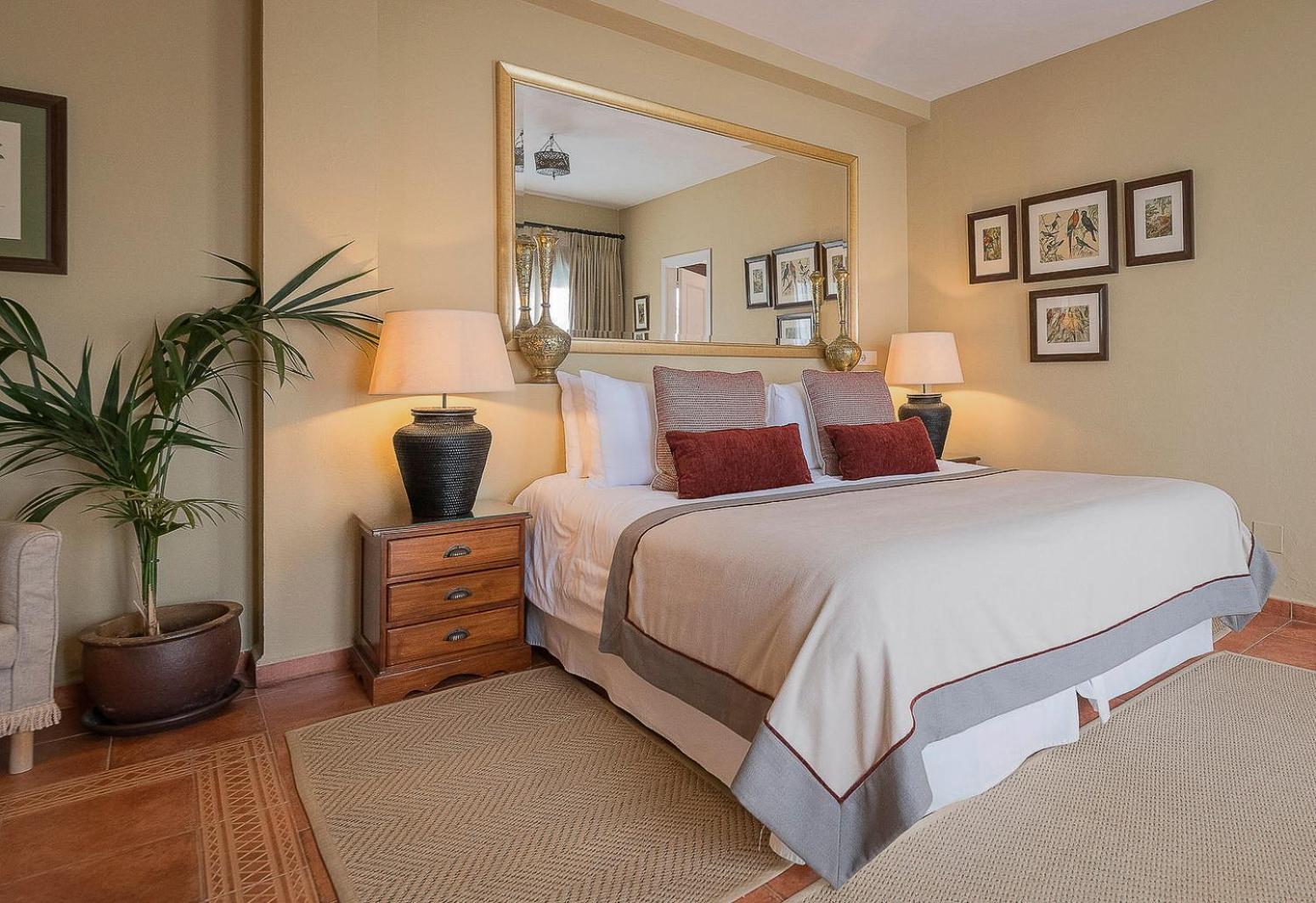 Suite Junior con Terraza