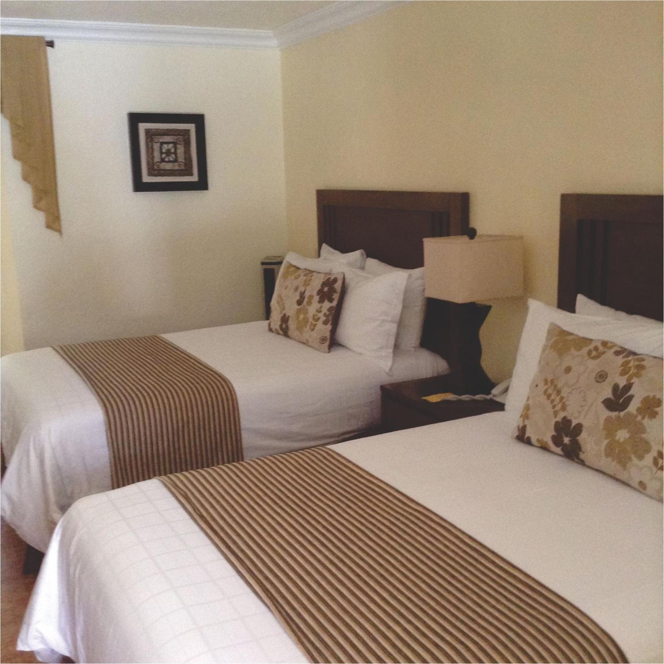 Double Suite photo 3